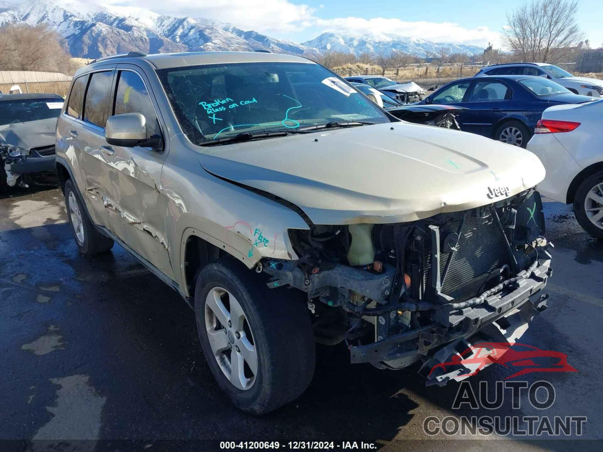 JEEP GRAND CHEROKEE 2011 - 1J4RR4GG0BC673194