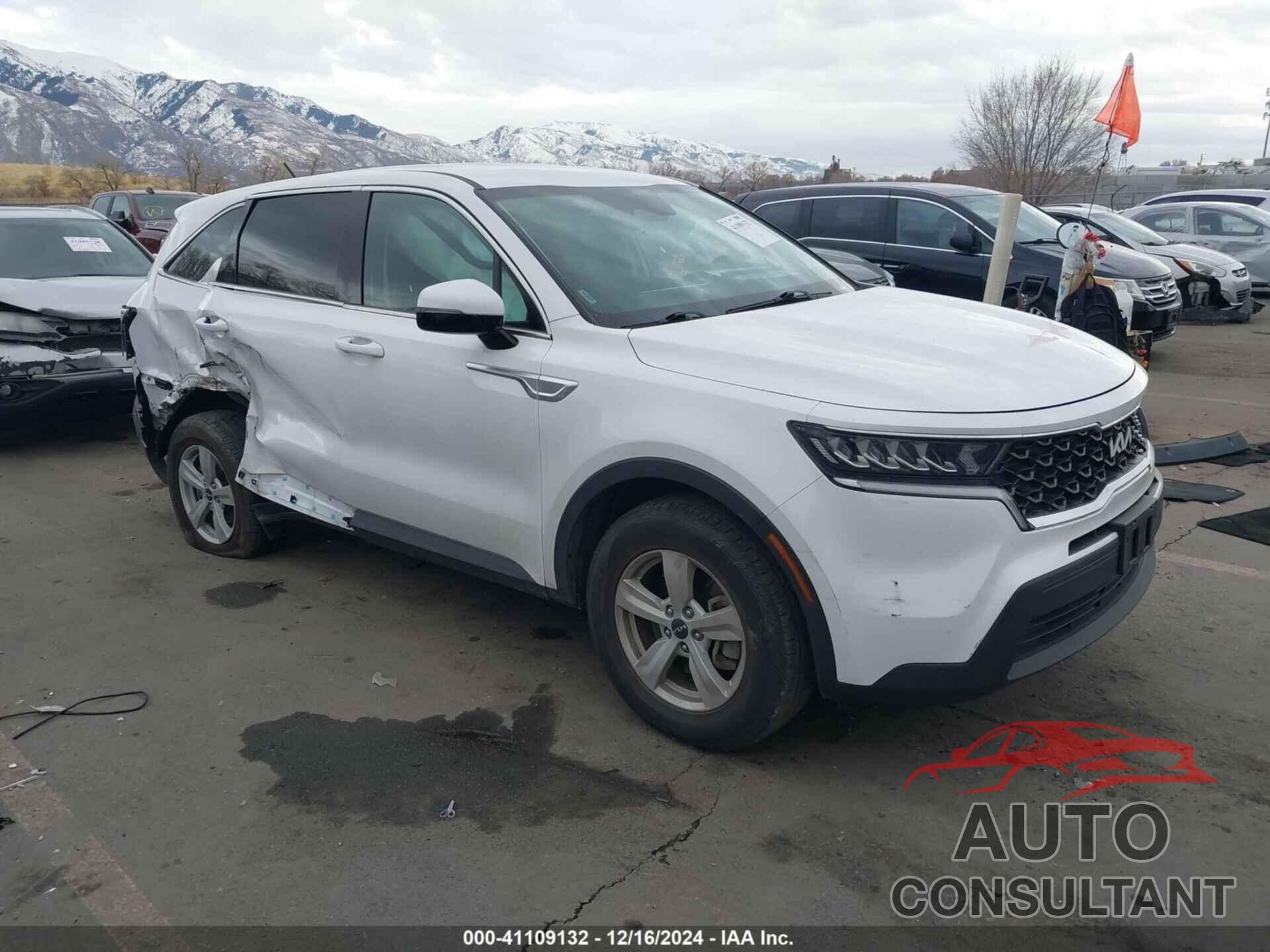 KIA SORENTO 2022 - 5XYRGDLC8NG072405