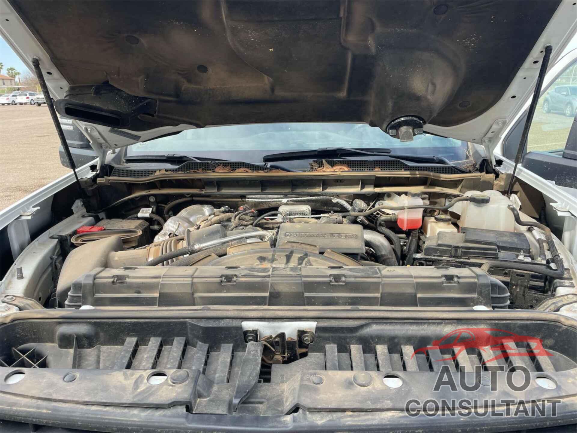 CHEVROLET SILVERADO 2024 - 1GC1YMEY0RF328631