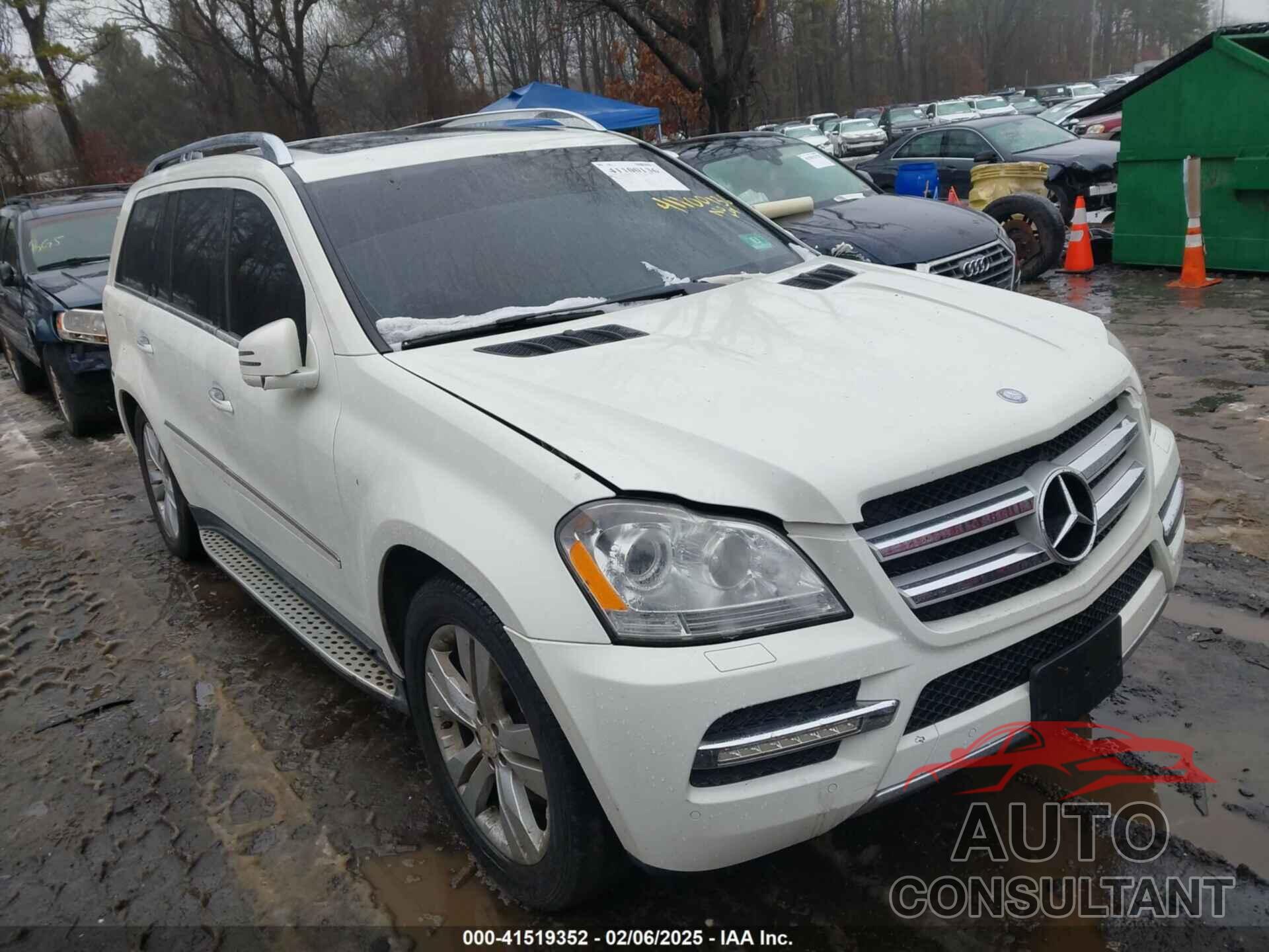 MERCEDES-BENZ GL 450 2011 - 4JGBF7BE2BA630068