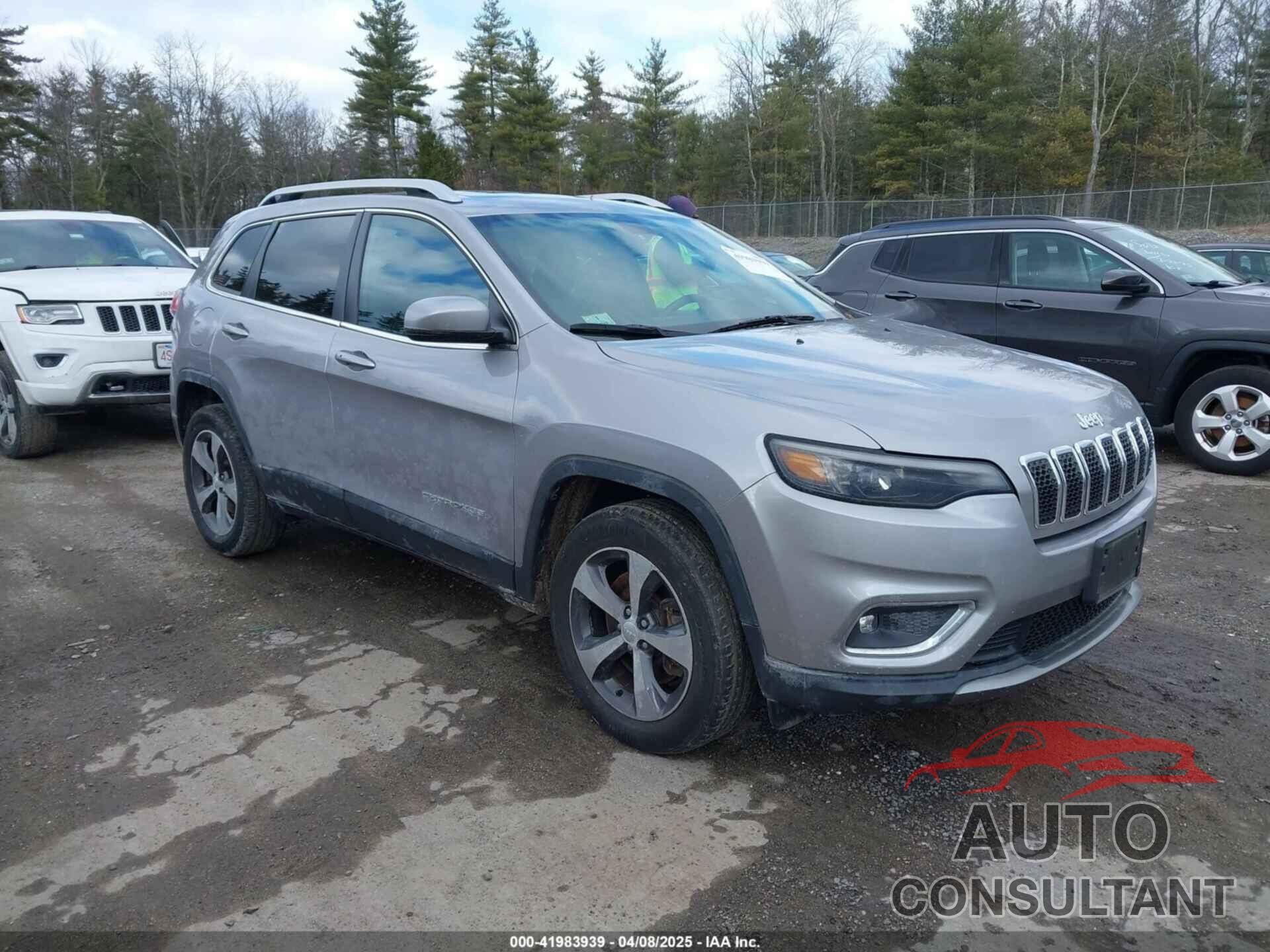 JEEP CHEROKEE 2019 - 1C4PJMDNXKD272009