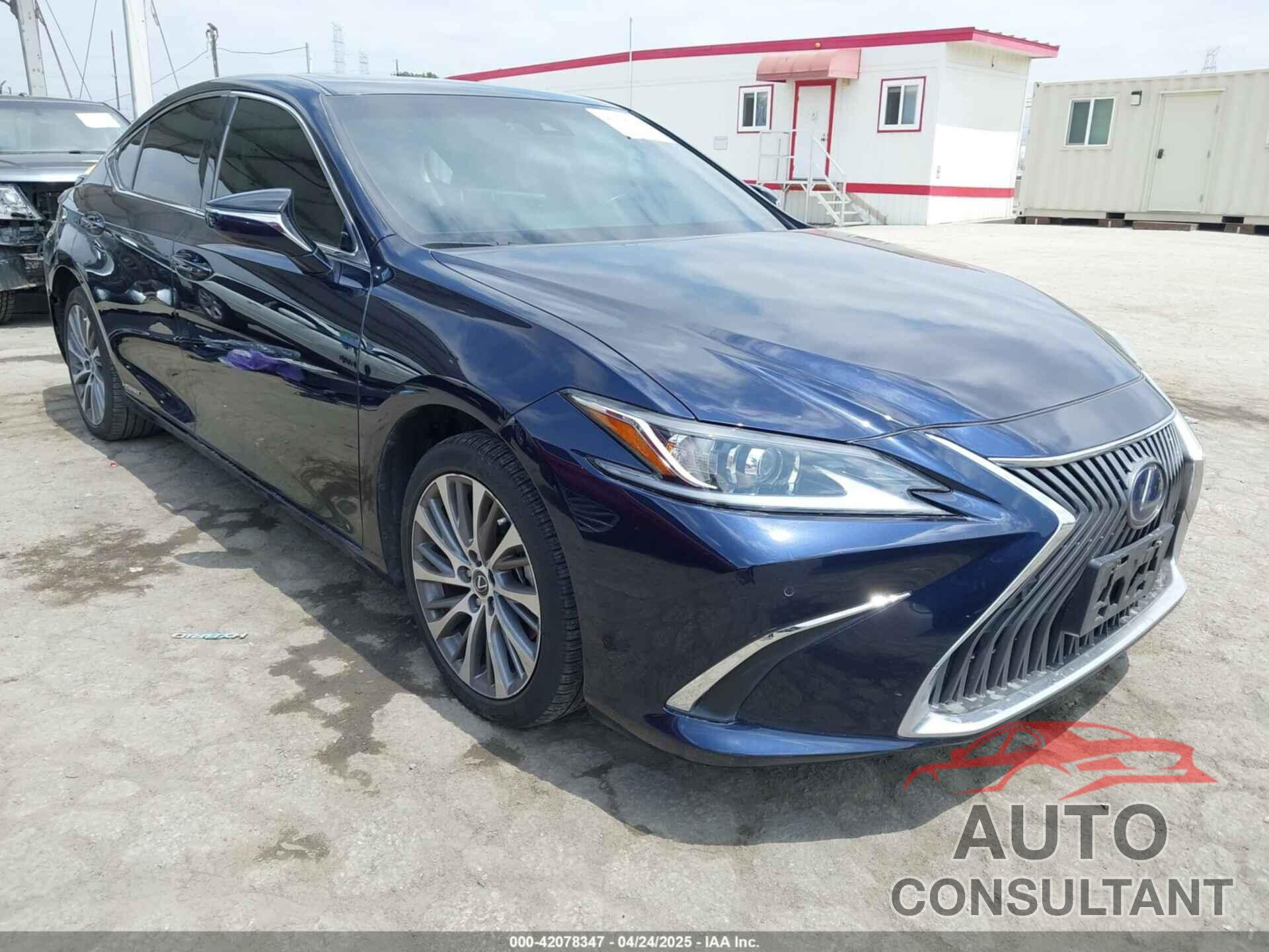 LEXUS ES 300H 2020 - 58AD21B10LU007636