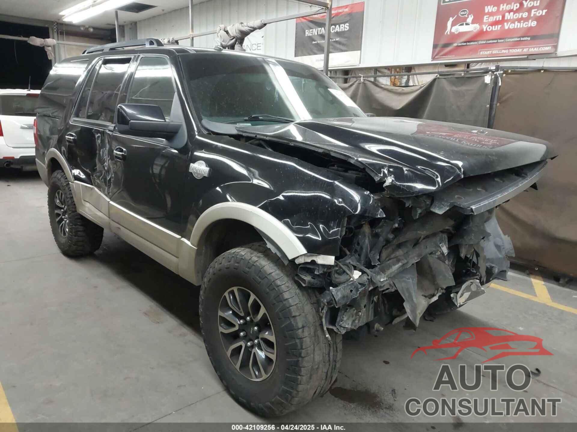 FORD EXPEDITION 2009 - 1FMFU18599EB05989