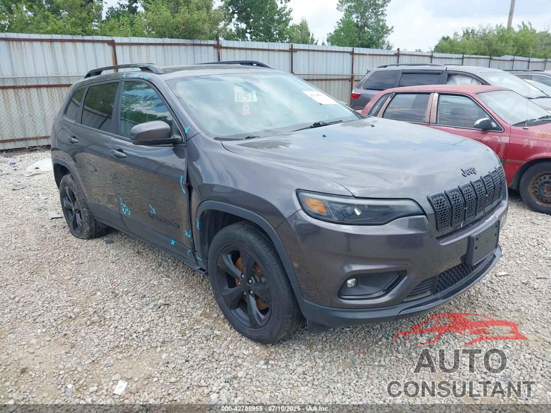 JEEP CHEROKEE 2019 - 1C4PJMLN8KD354600