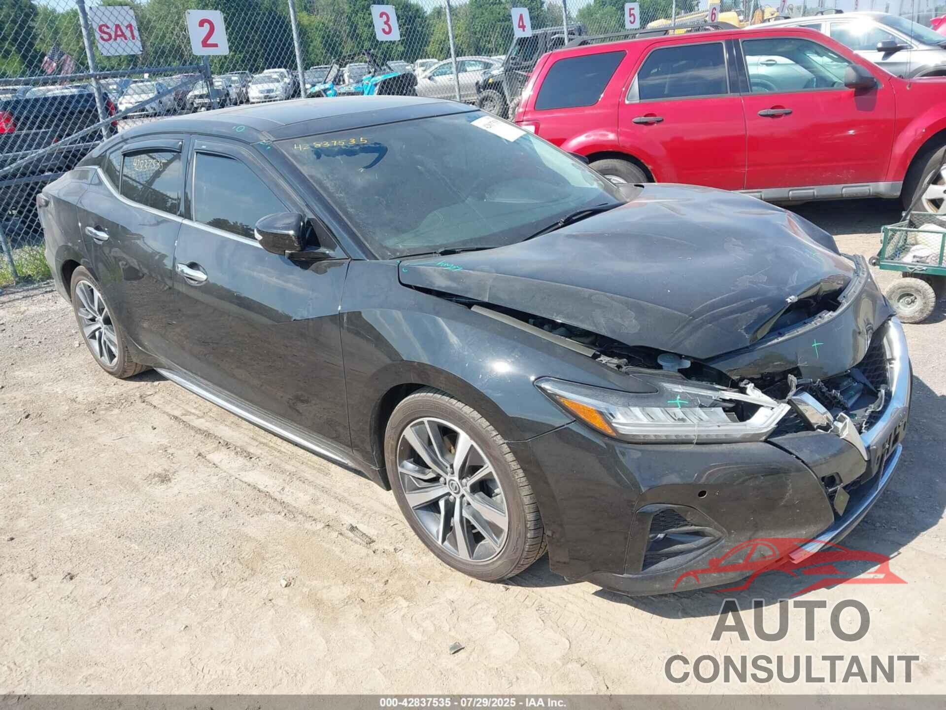 NISSAN MAXIMA 2019 - 1N4AA6AV9KC382650