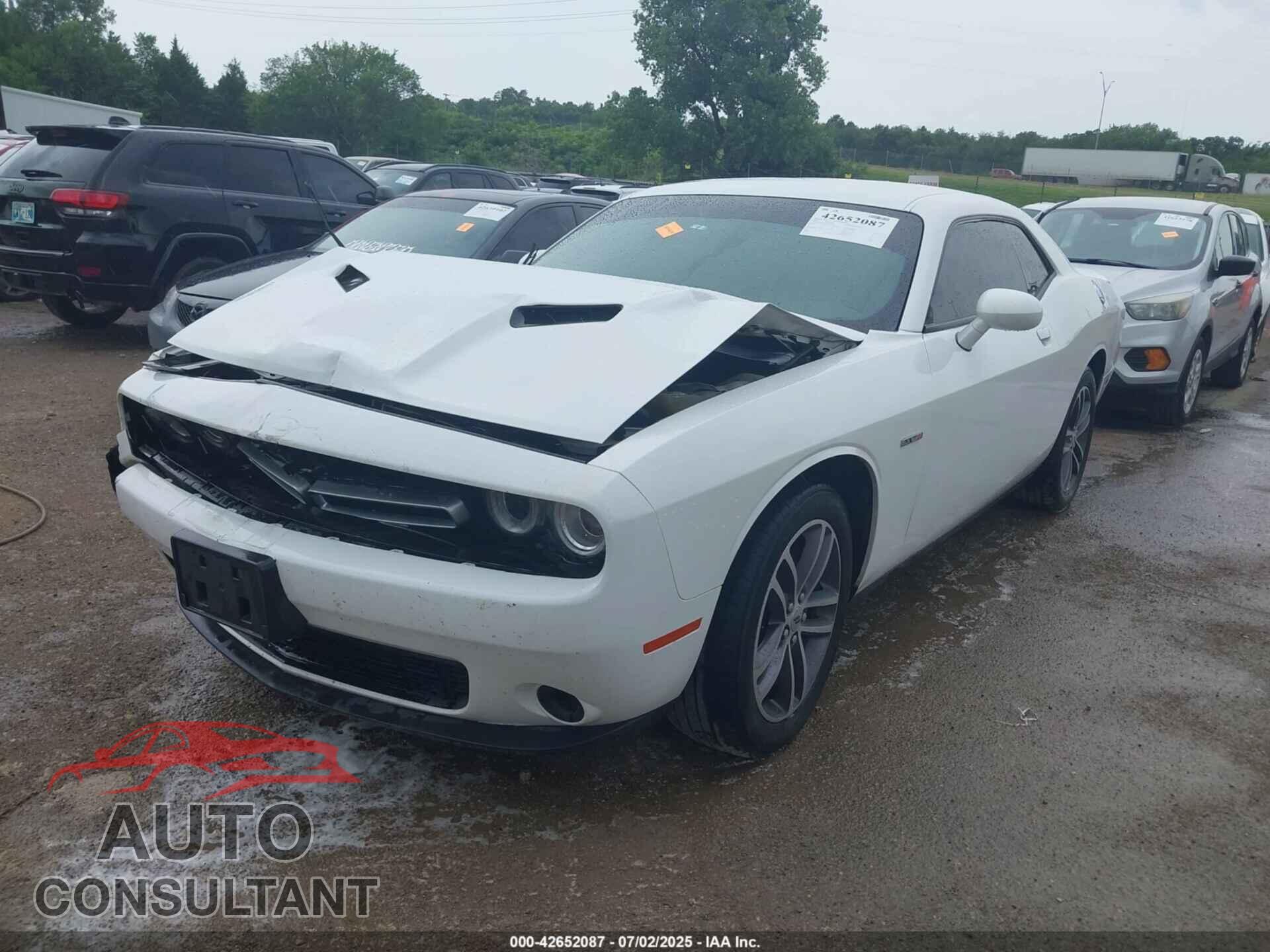 DODGE CHALLENGER 2019 - 2C3CDZGG9KH529510