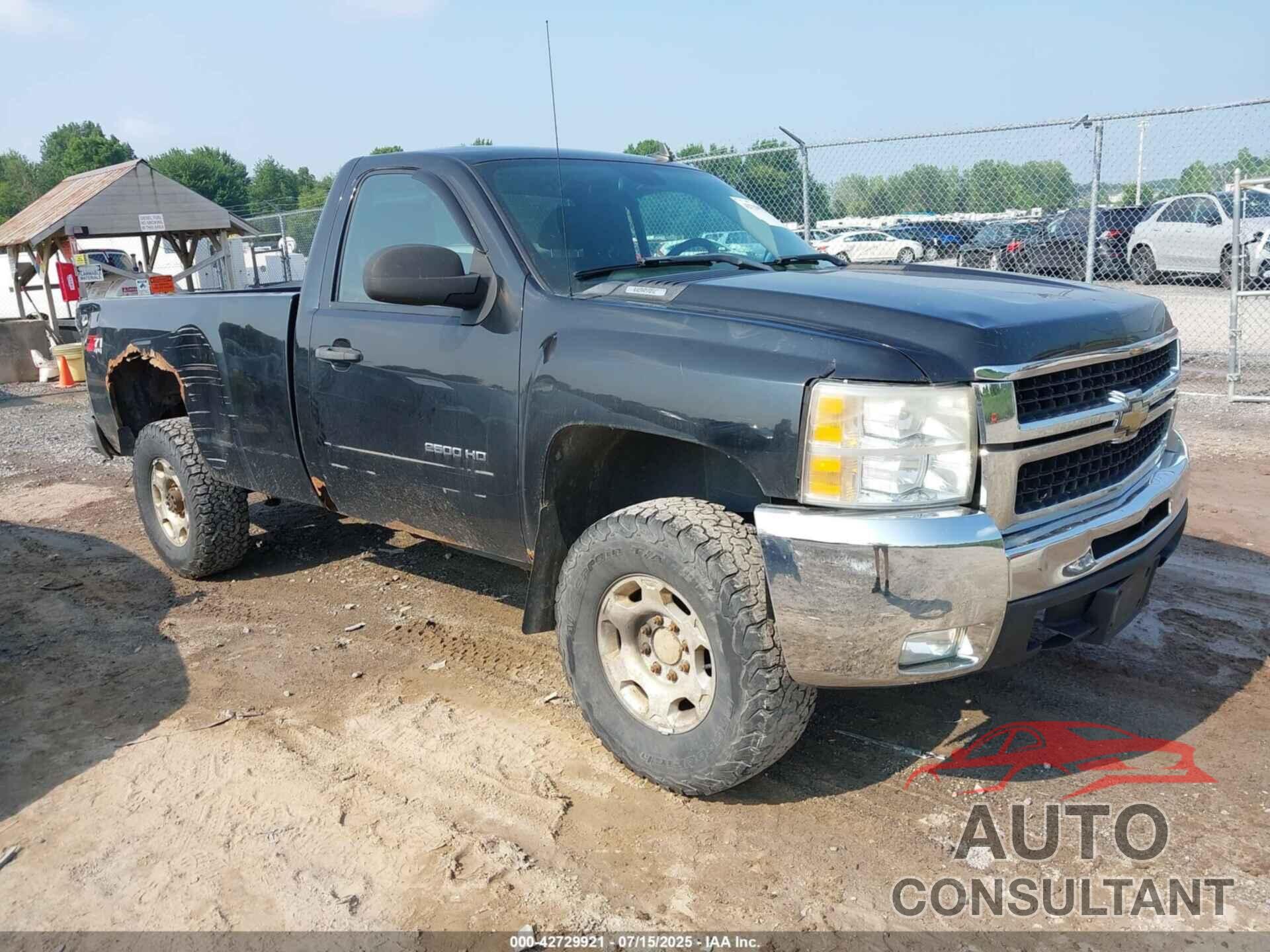 CHEVROLET SILVERADO 2010 - 1GC3KXBGXAF138766