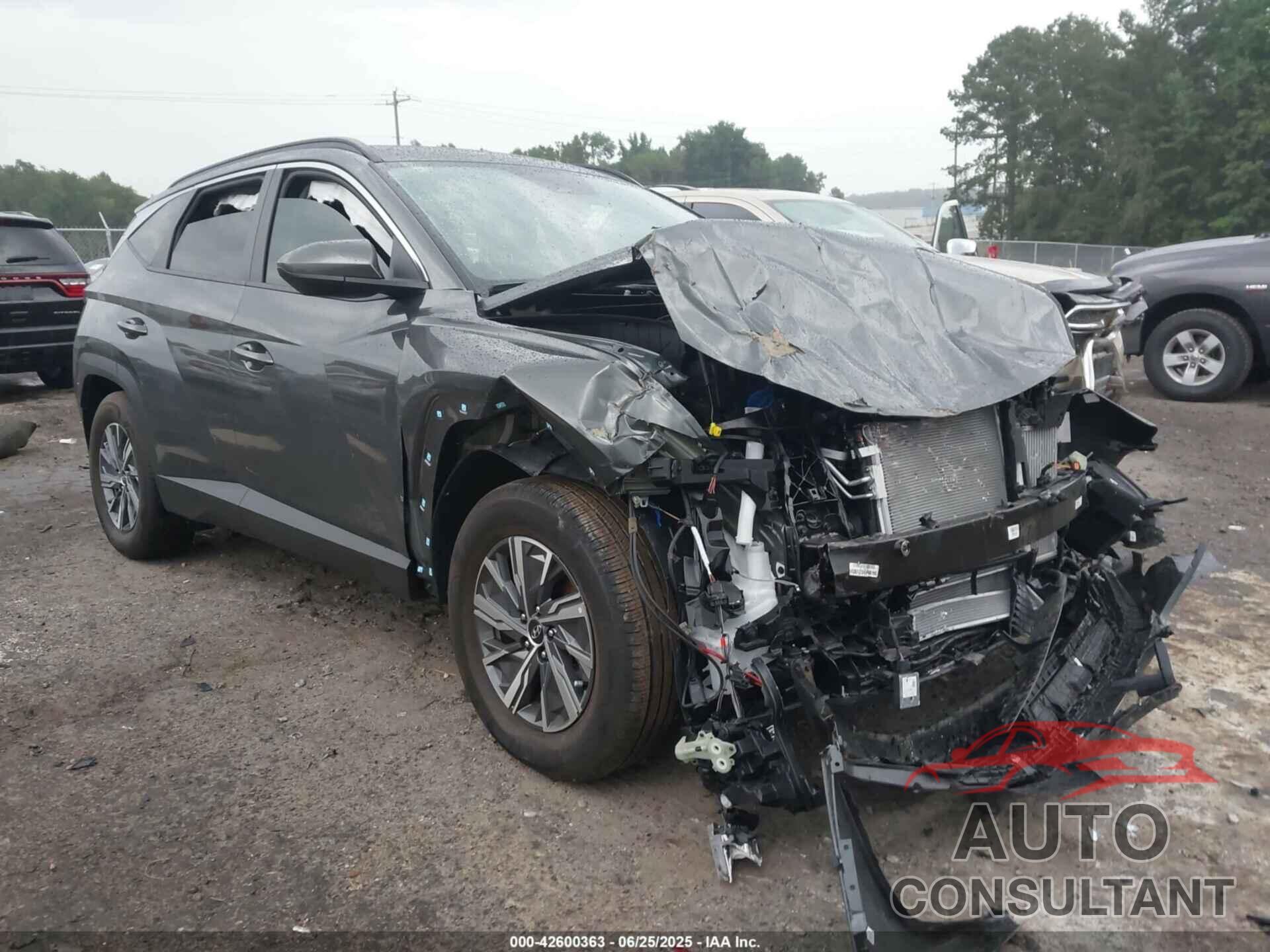 HYUNDAI TUCSON HYBRID 2024 - KM8JBCD16RU225074