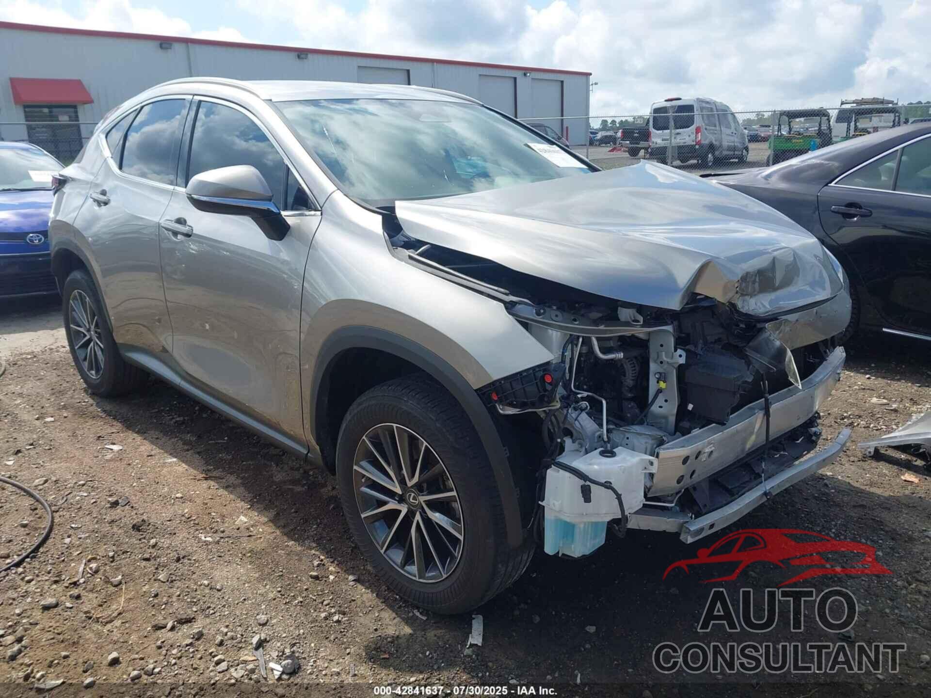 LEXUS NX 250 2023 - 2T2ADCAZ0PC005024