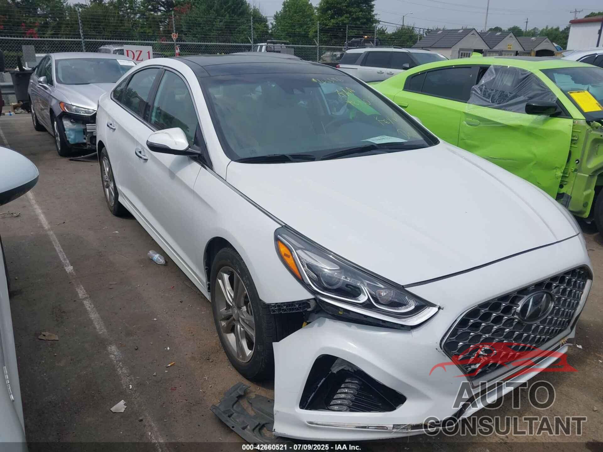 HYUNDAI SONATA 2019 - 5NPE34AF5KH813363