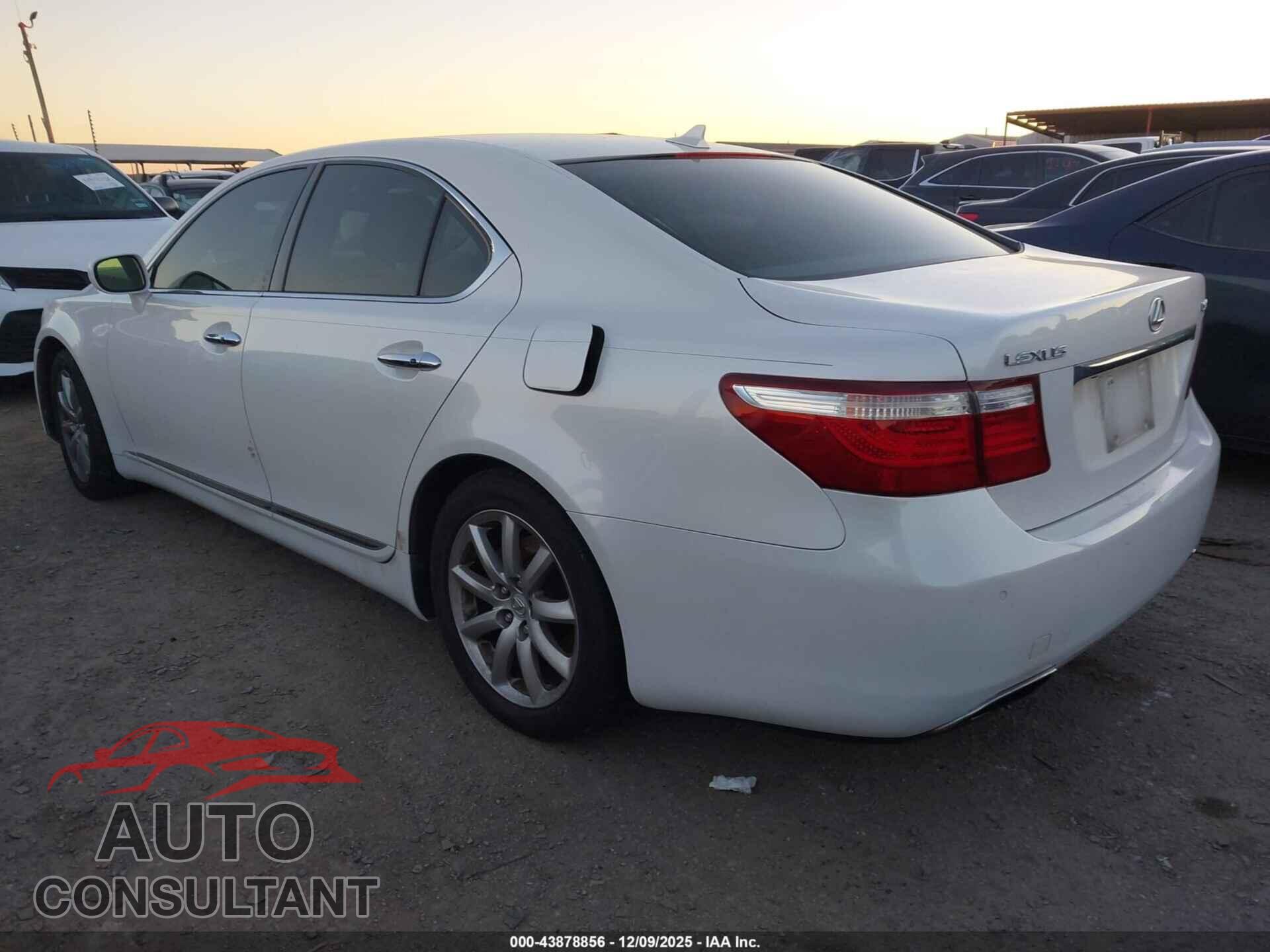 LEXUS LS 460 2009 - JTHBL46F095085357