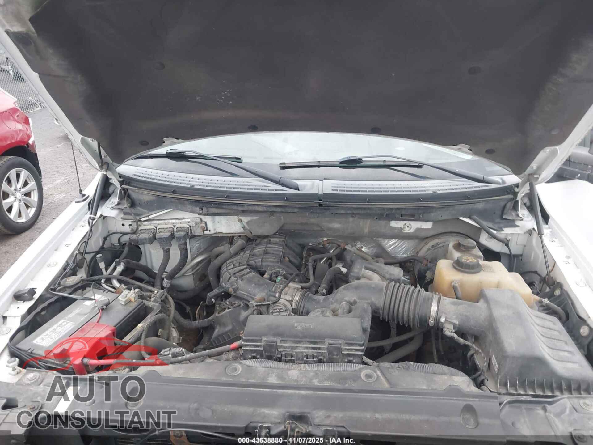 FORD F-150 2013 - 1FTMF1CM7DKD04487