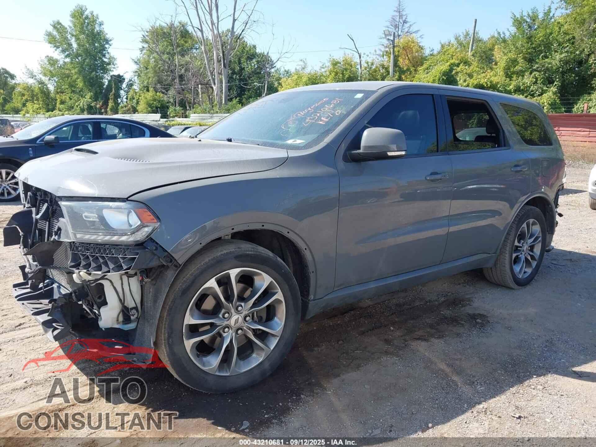 DODGE DURANGO 2019 - 1C4SDJCT0KC738455