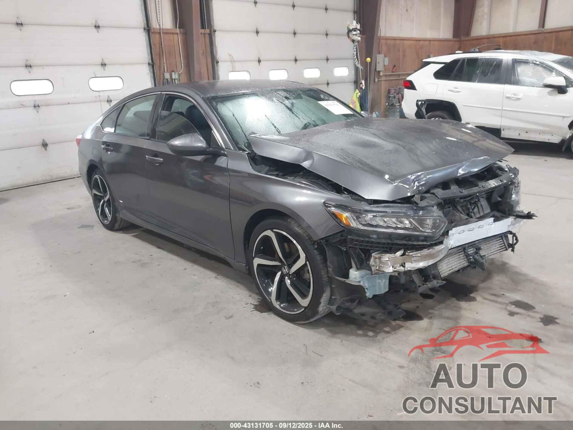 HONDA ACCORD 2019 - 1HGCV1F31KA024229
