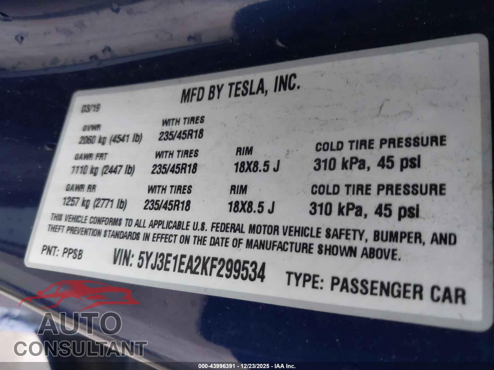 TESLA MODEL 3 2019 - 5YJ3E1EA2KF299534