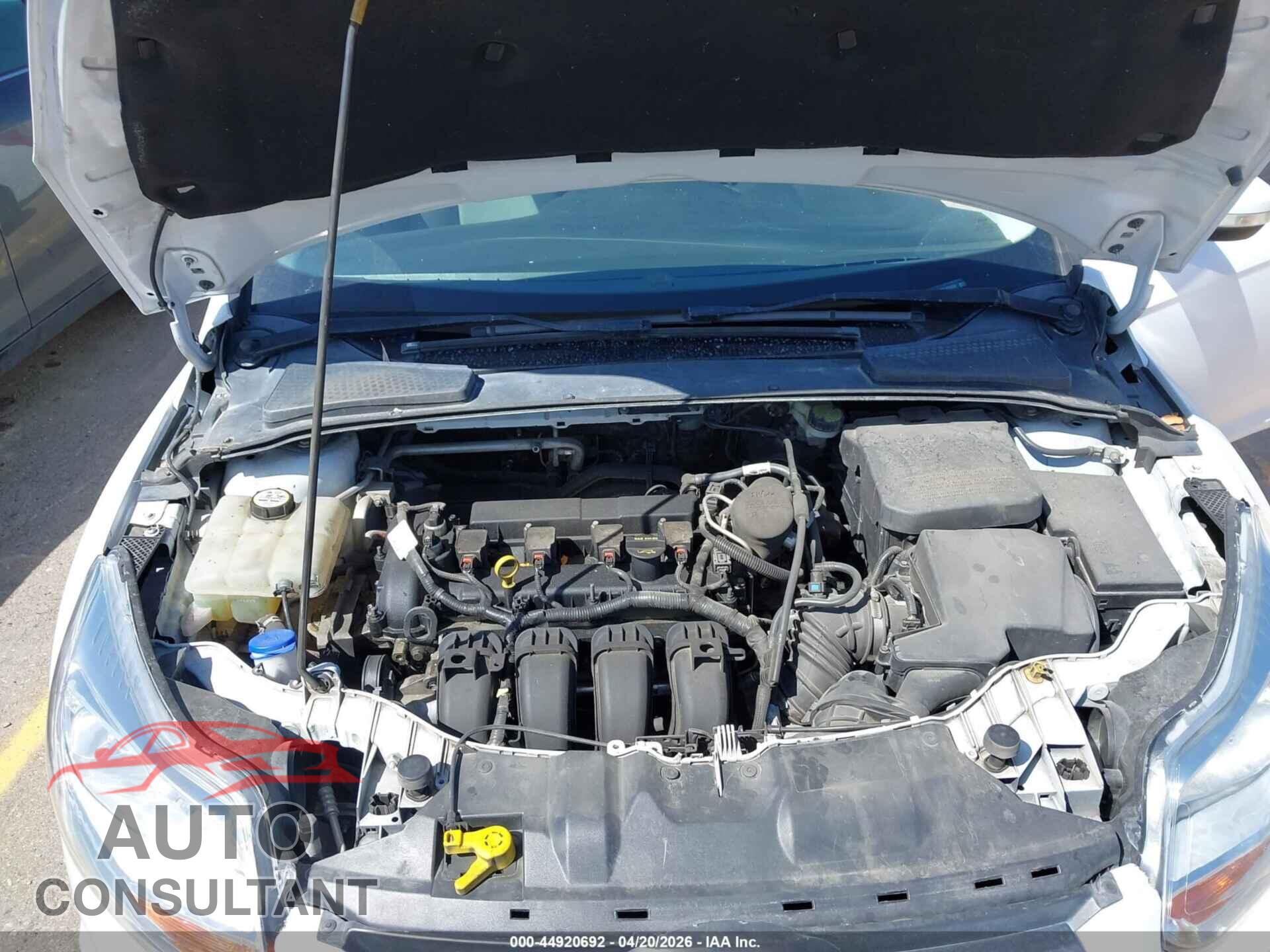 FORD FOCUS 2014 - 1FADP3F22EL431636