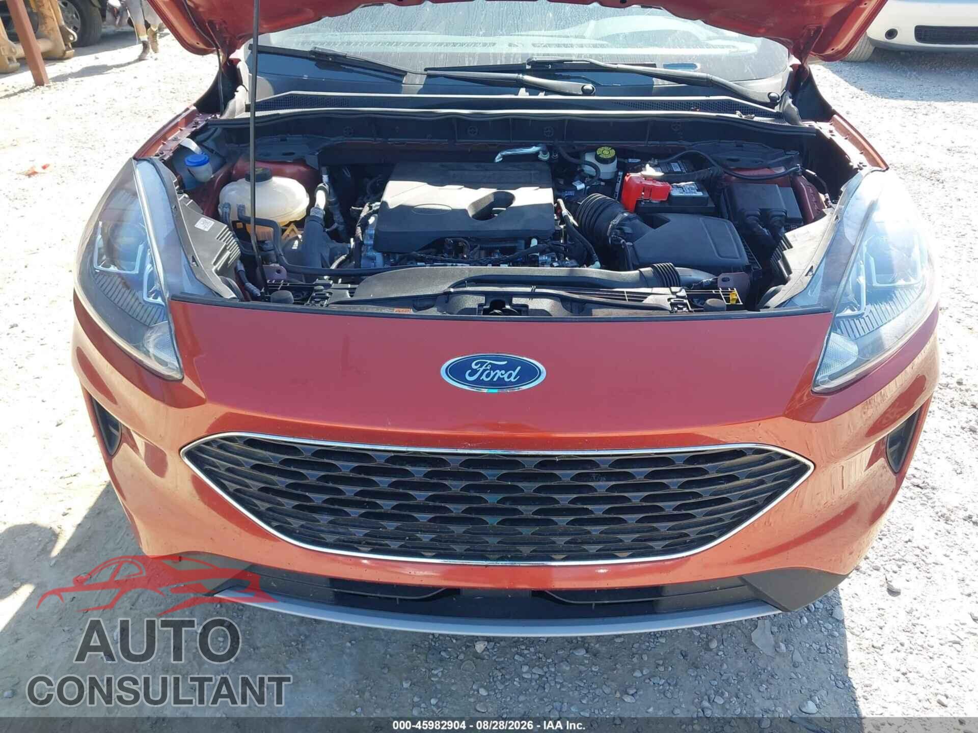 FORD ESCAPE 2020 - 1FMCU9G61LUA98724