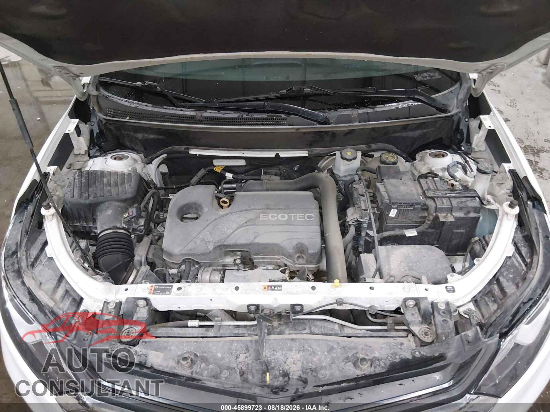 CHEVROLET EQUINOX 2021 - 3GNAXTEV1MS136830