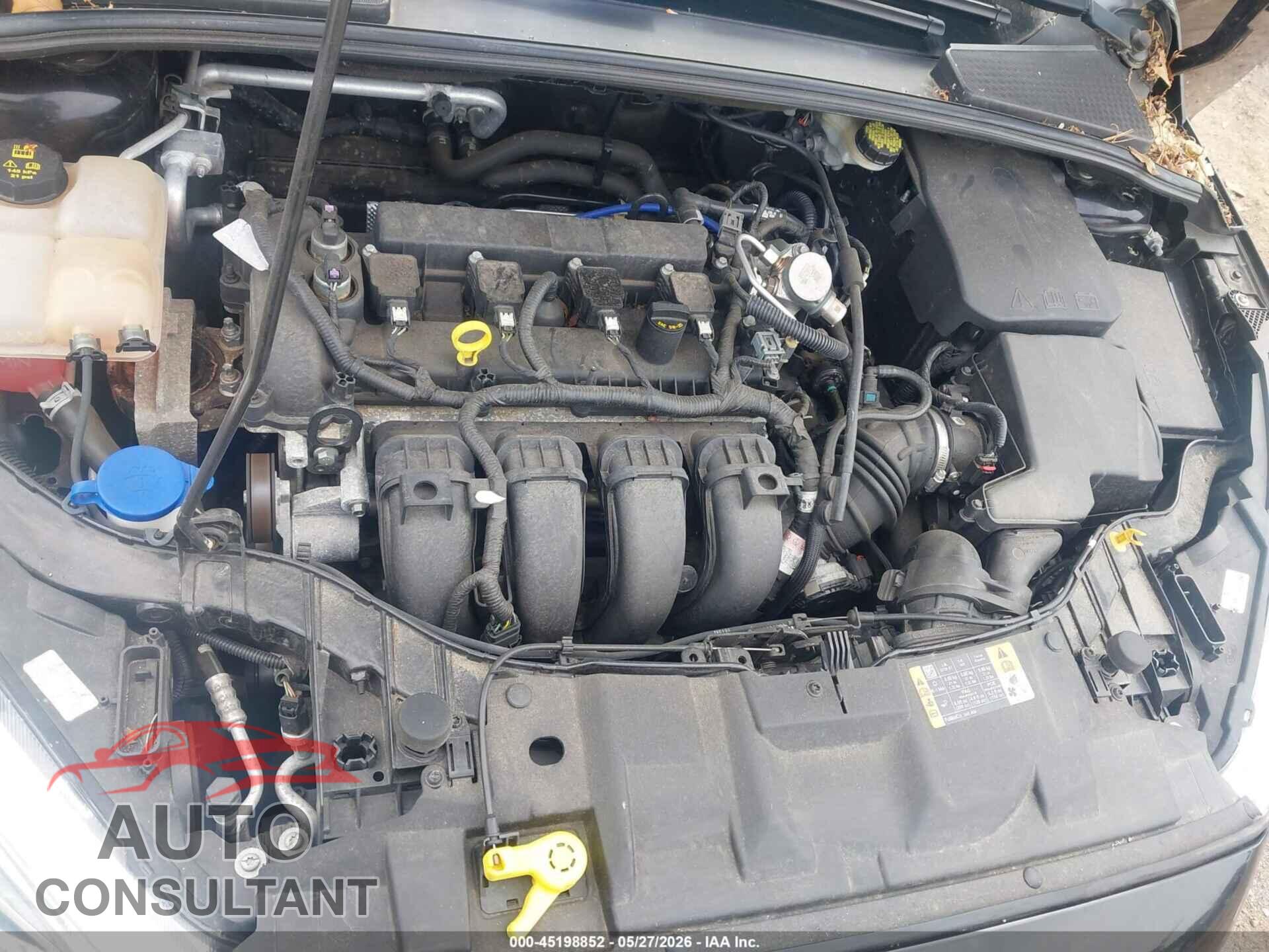 FORD FOCUS 2016 - 1FADP3K23GL375666