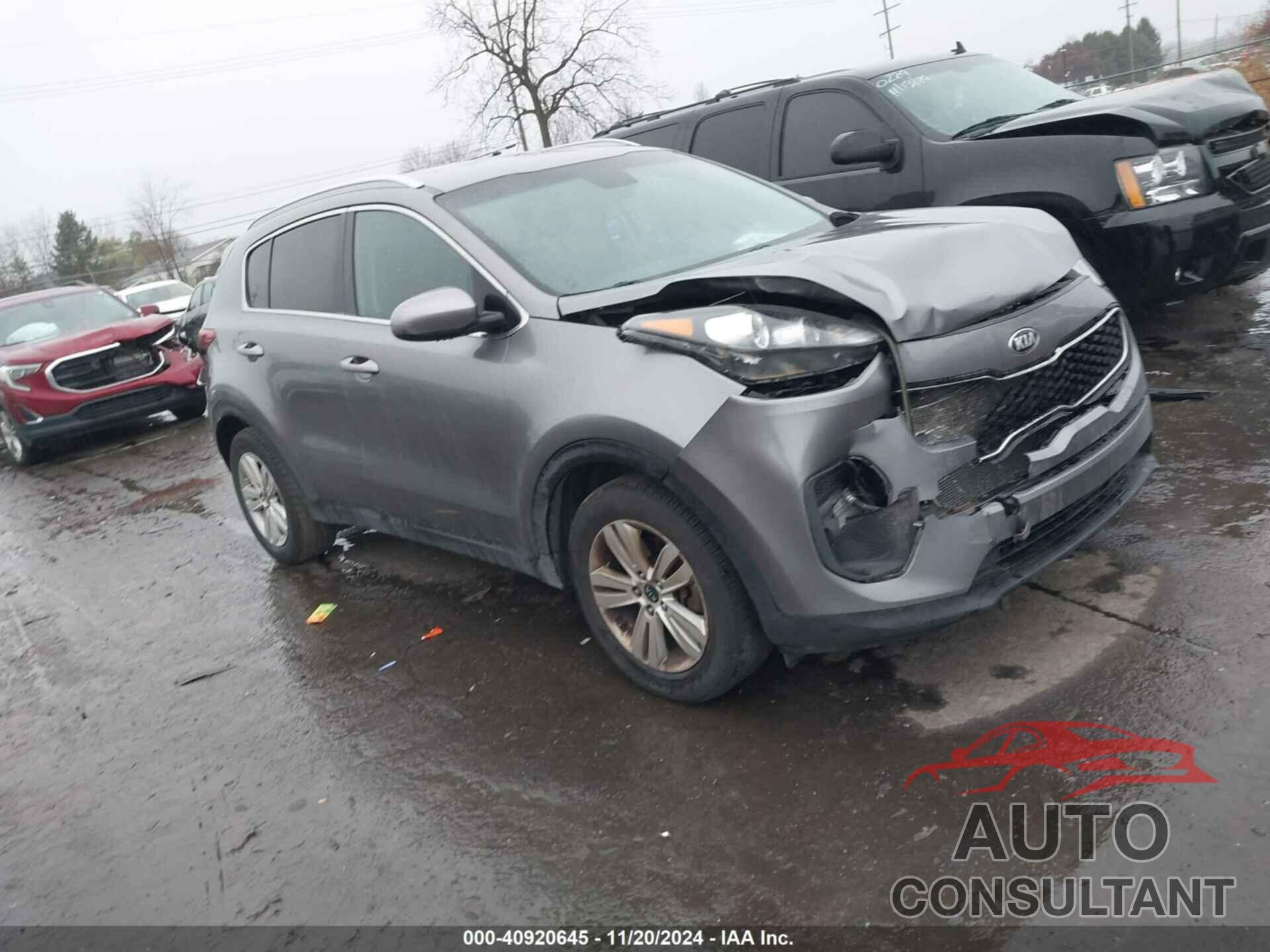 KIA SPORTAGE 2019 - KNDPM3AC7K7524690