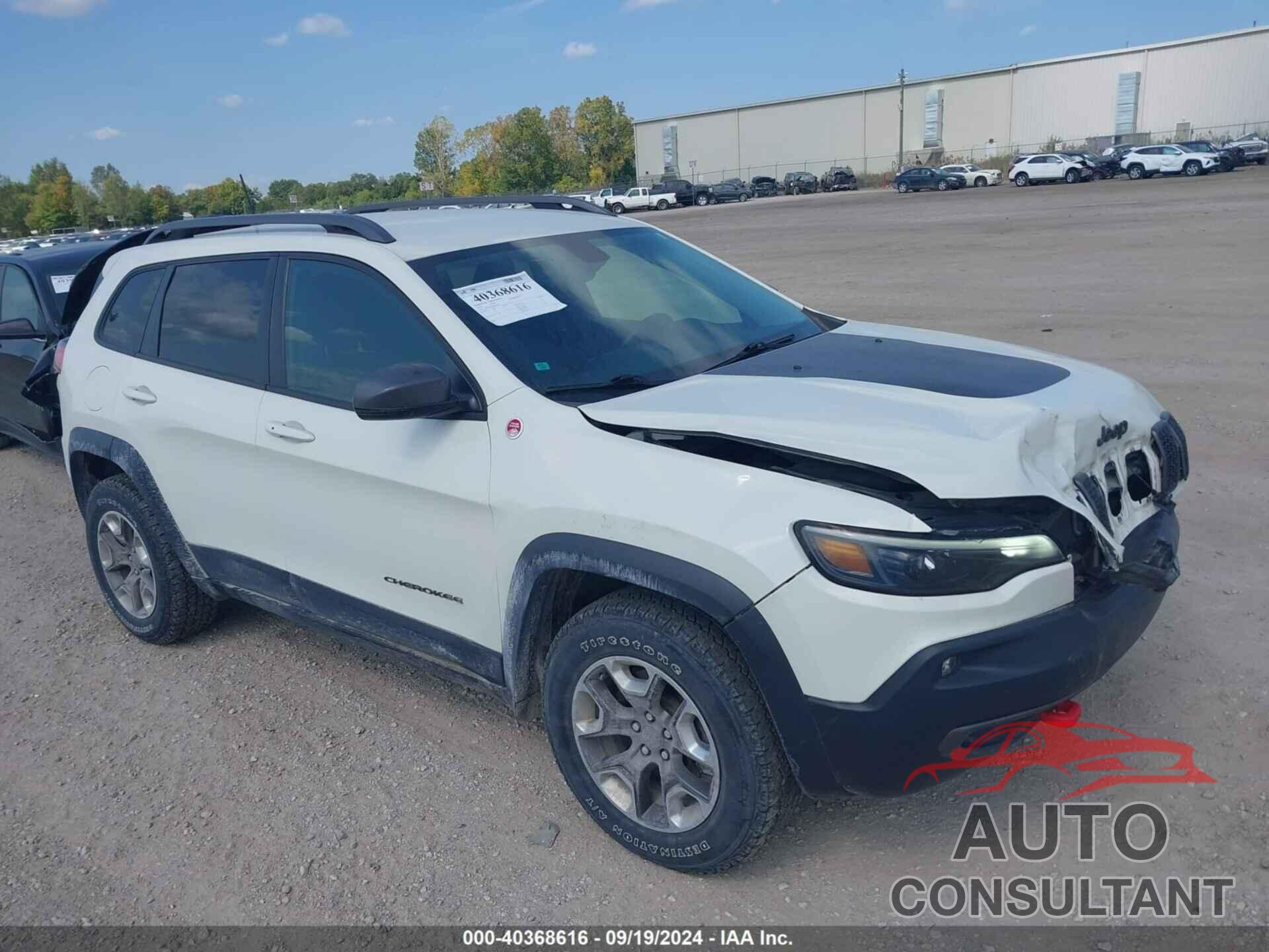 JEEP CHEROKEE 2019 - 1C4PJMBX6KD400797