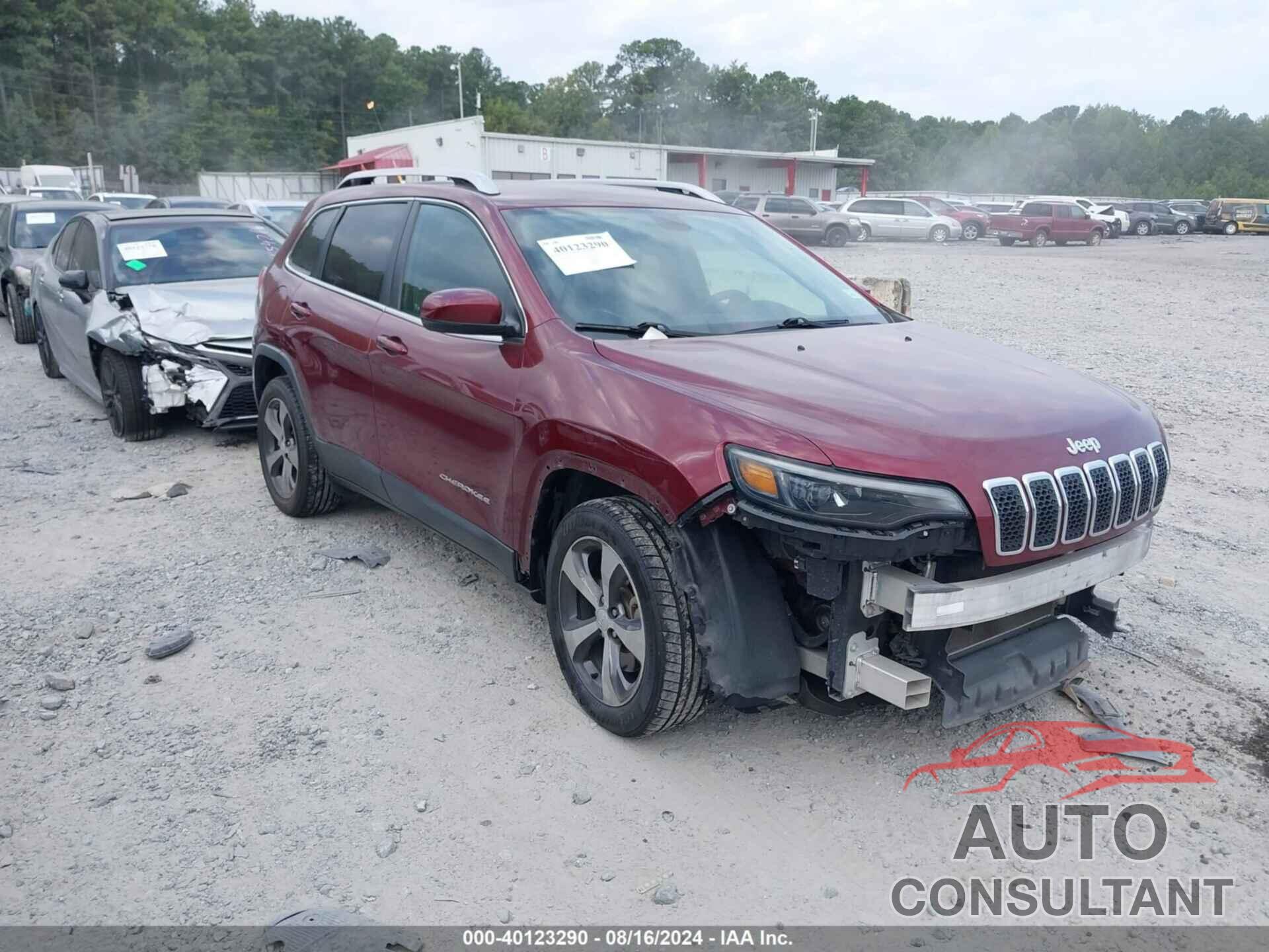 JEEP CHEROKEE 2019 - 1C4PJLDB7KD356921