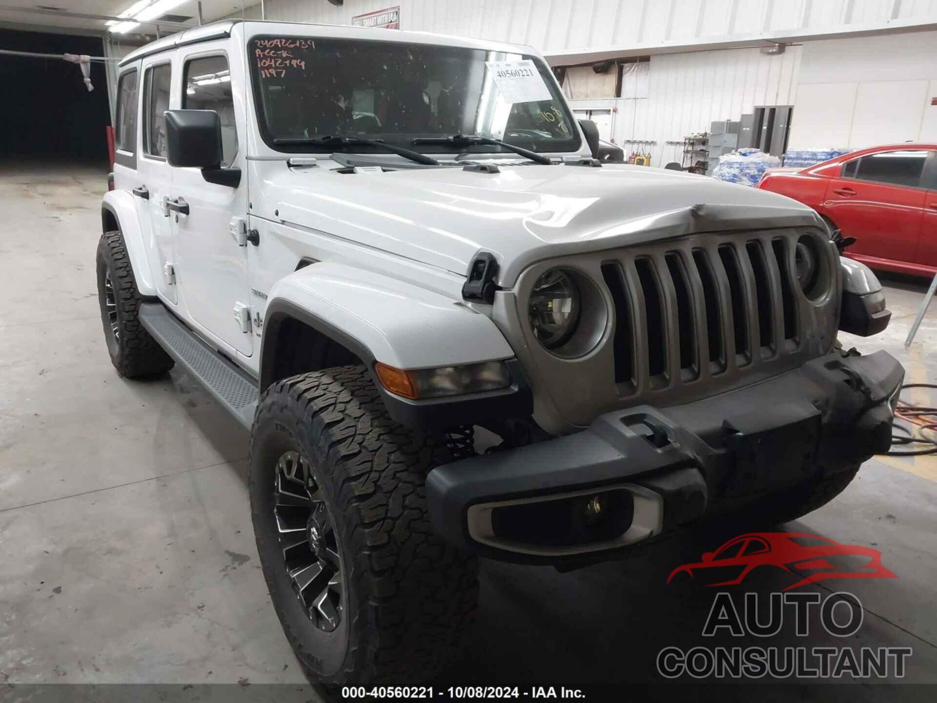 JEEP WRANGLER UNLIMITED 2020 - 1C4HJXEG4LW251197