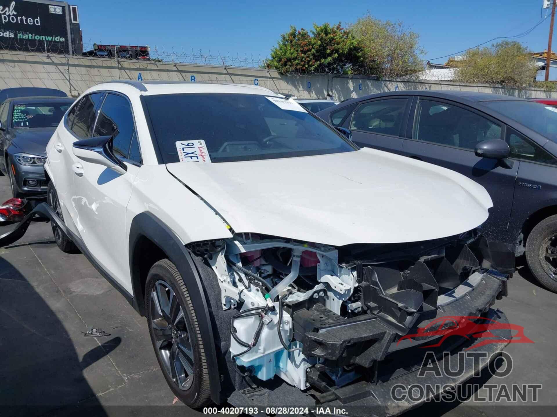 LEXUS UX 250H 2024 - JTHX6JBH9R2189334