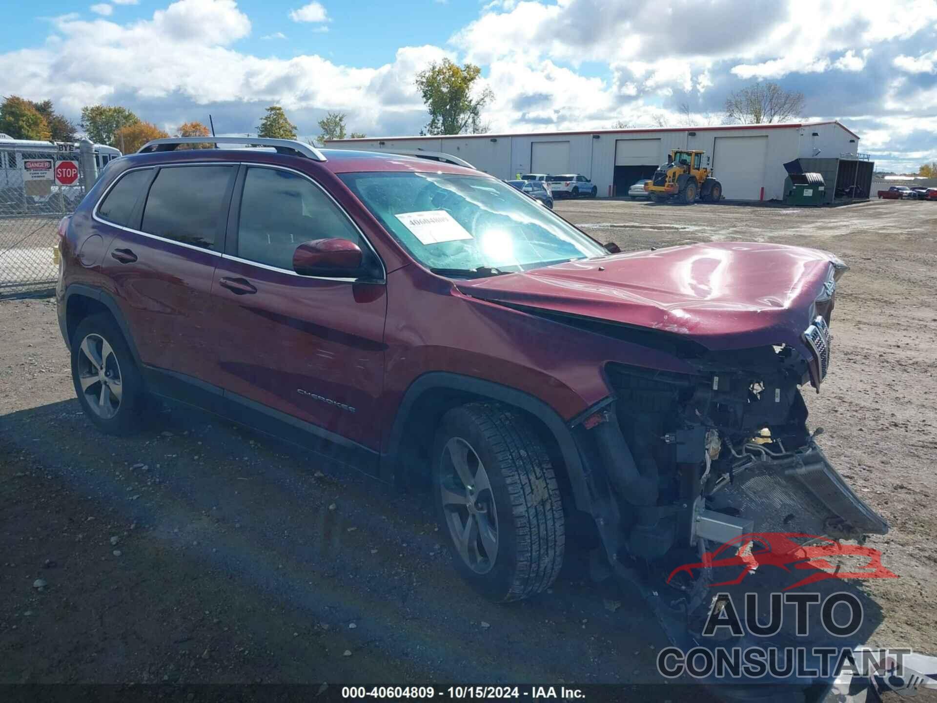 JEEP CHEROKEE 2019 - 1C4PJMDX2KD150181