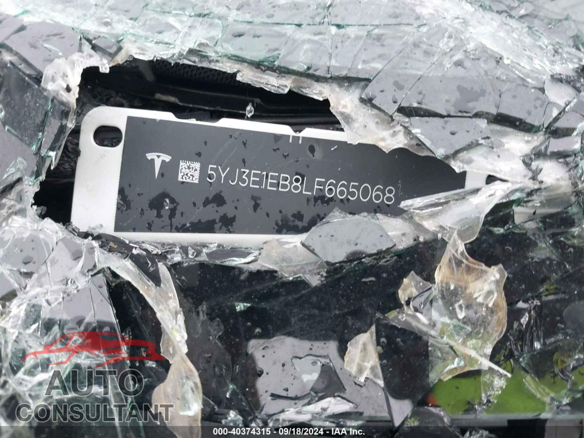 TESLA MODEL 3 2020 - 5YJ3E1EB8LF665068
