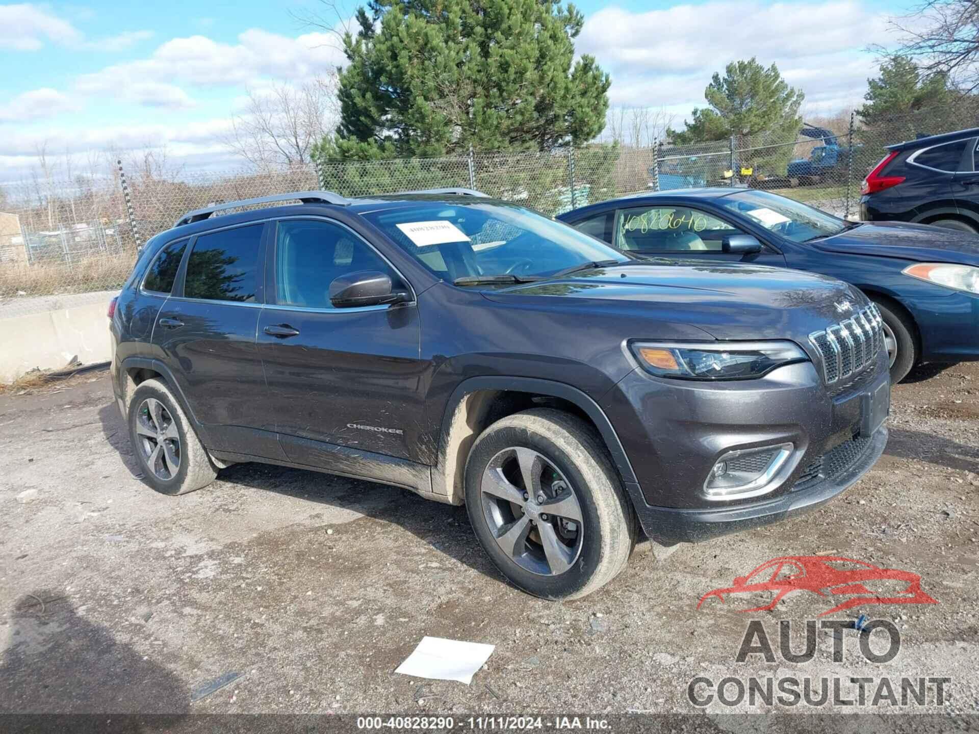JEEP CHEROKEE 2019 - 1C4PJMDXXKD342643