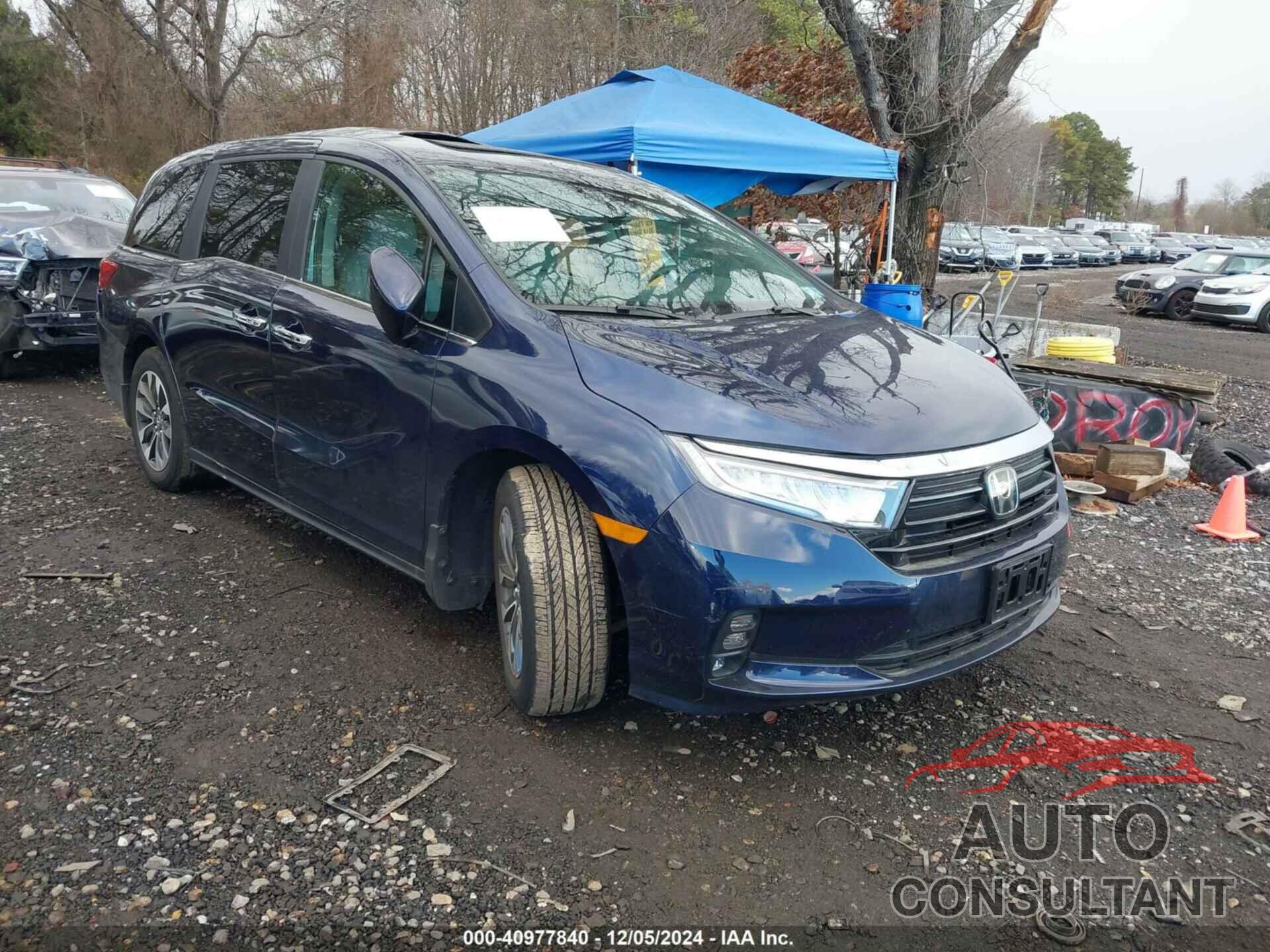 HONDA ODYSSEY 2024 - 5FNRL6H63RB036886