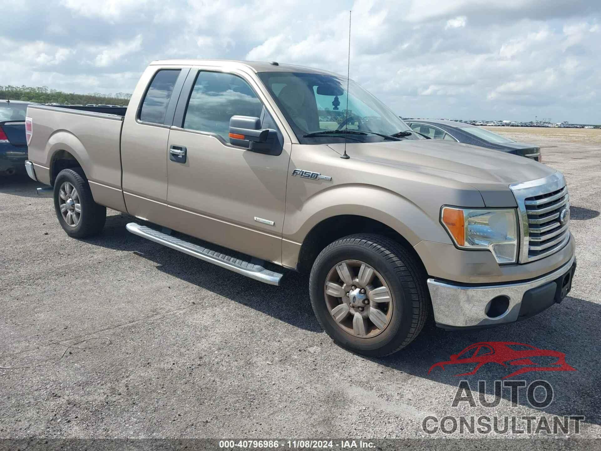 FORD F-150 2011 - 1FTFX1CT3BFB14611