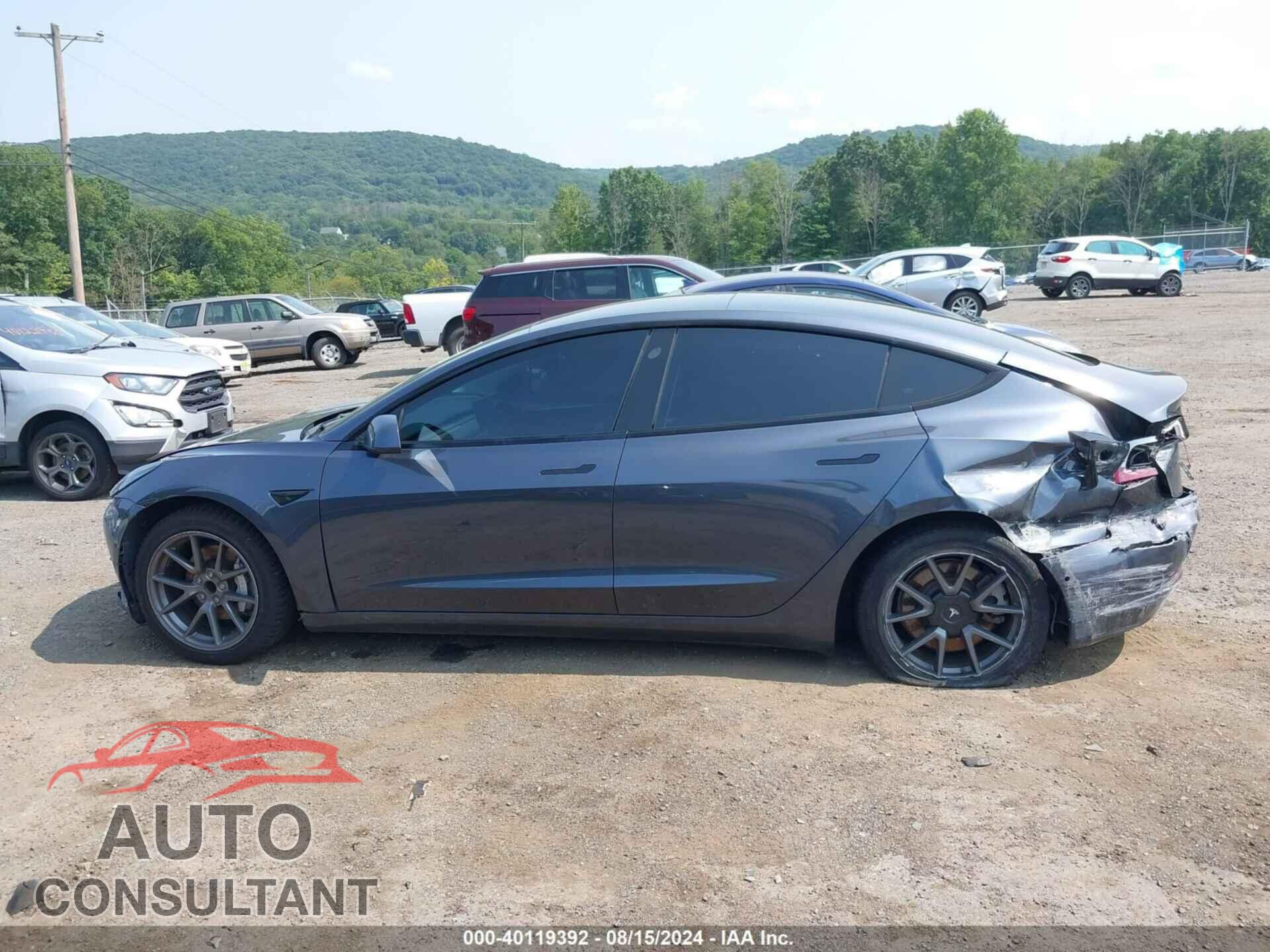TESLA MODEL 3 2021 - 5YJ3E1EA6MF045439