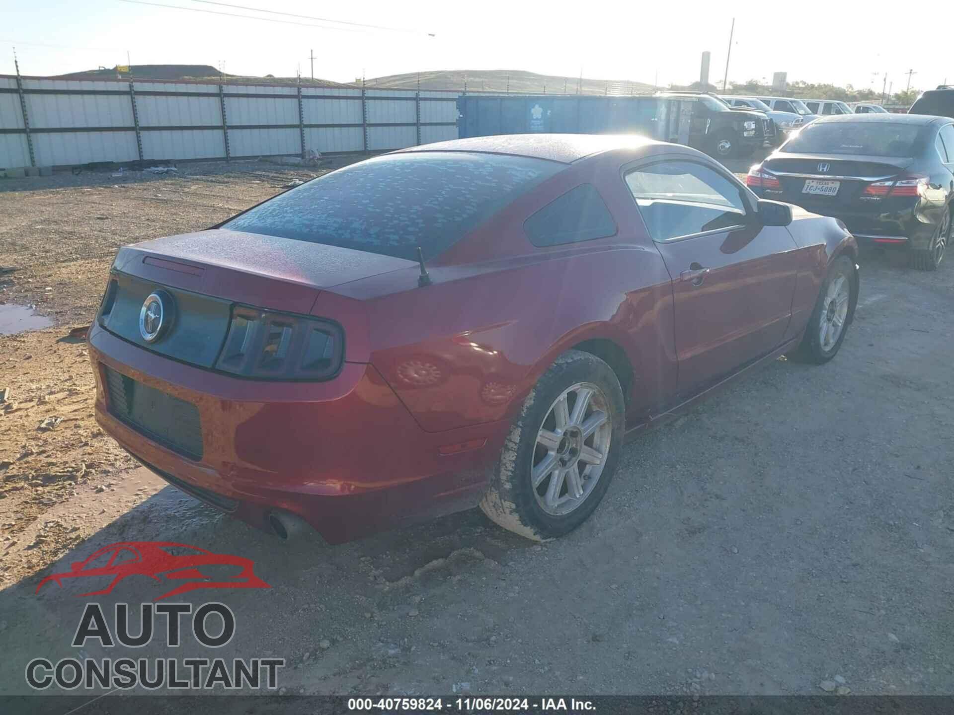FORD MUSTANG 2014 - 1ZVBP8AM3E5284414