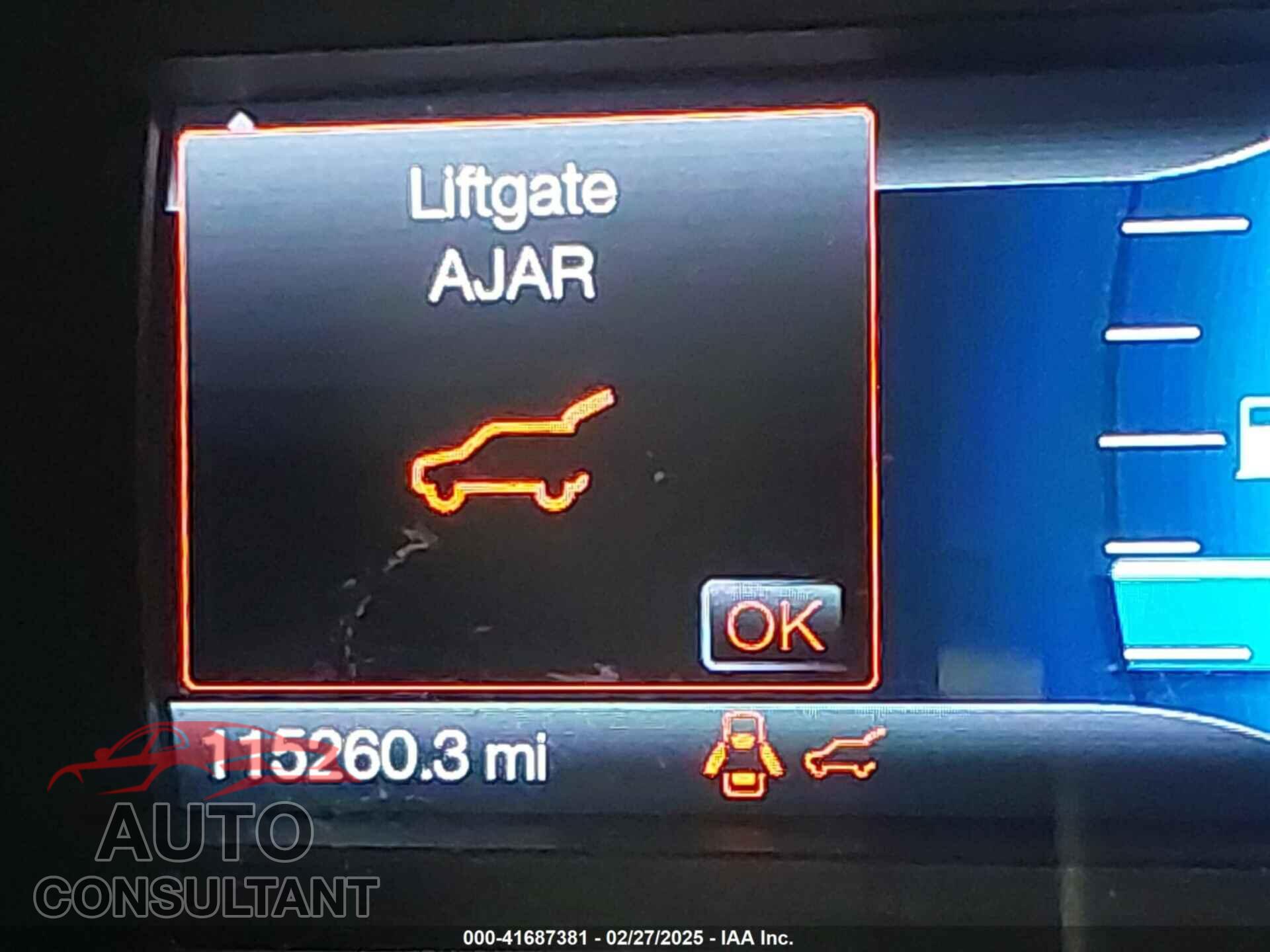 FORD FLEX 2017 - 2FMGK5C84HBA12813