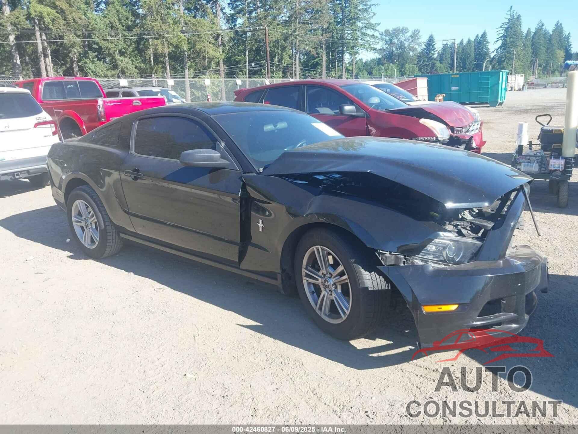 FORD MUSTANG 2013 - 1ZVBP8AM3D5269846