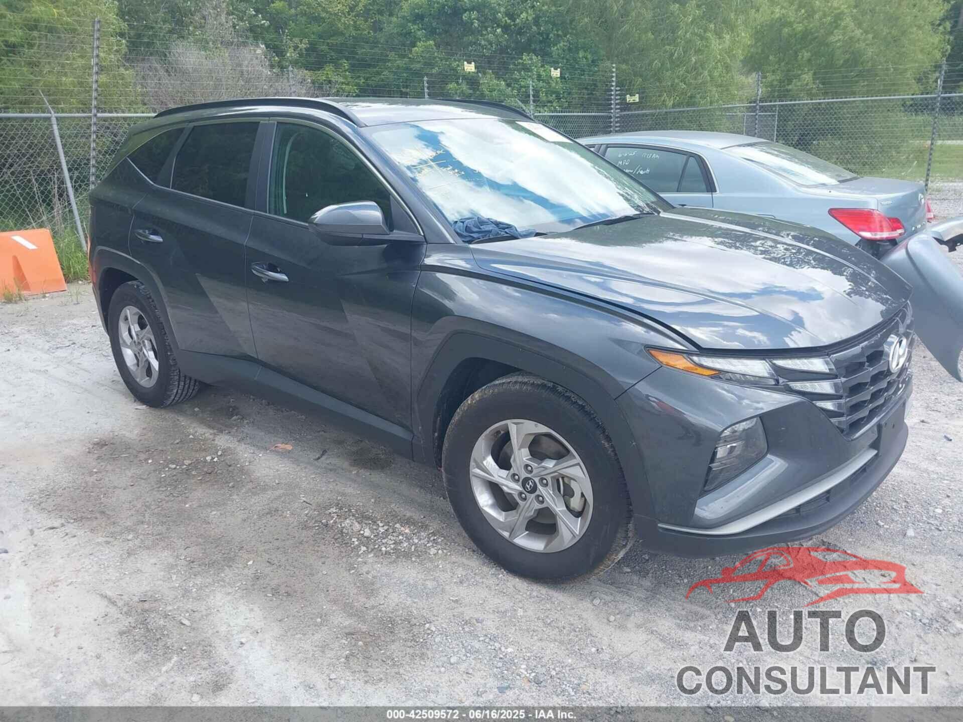 HYUNDAI TUCSON 2024 - 5NMJB3DE6RH362546