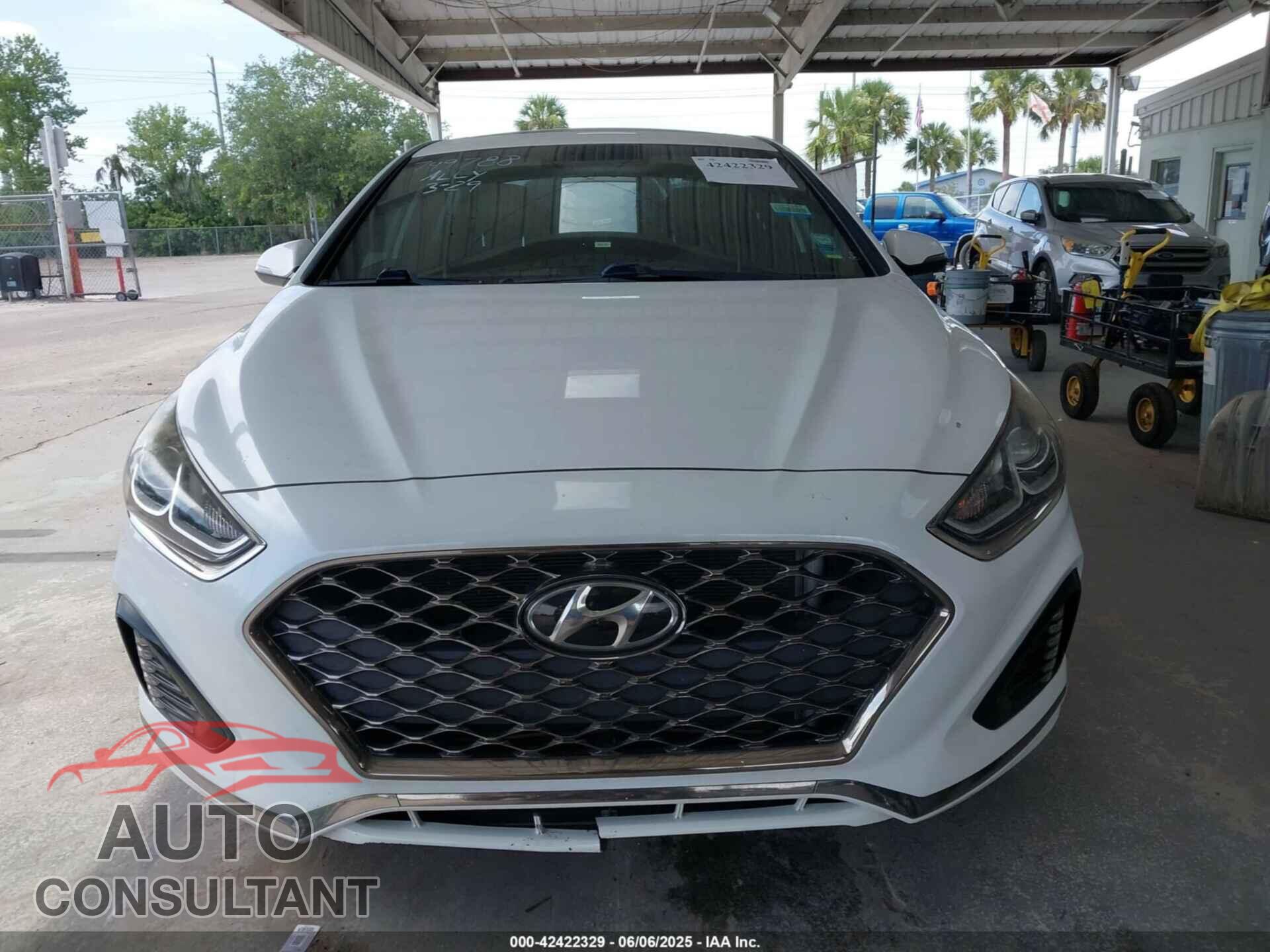 HYUNDAI SONATA 2019 - 5NPE34AF1KH749788