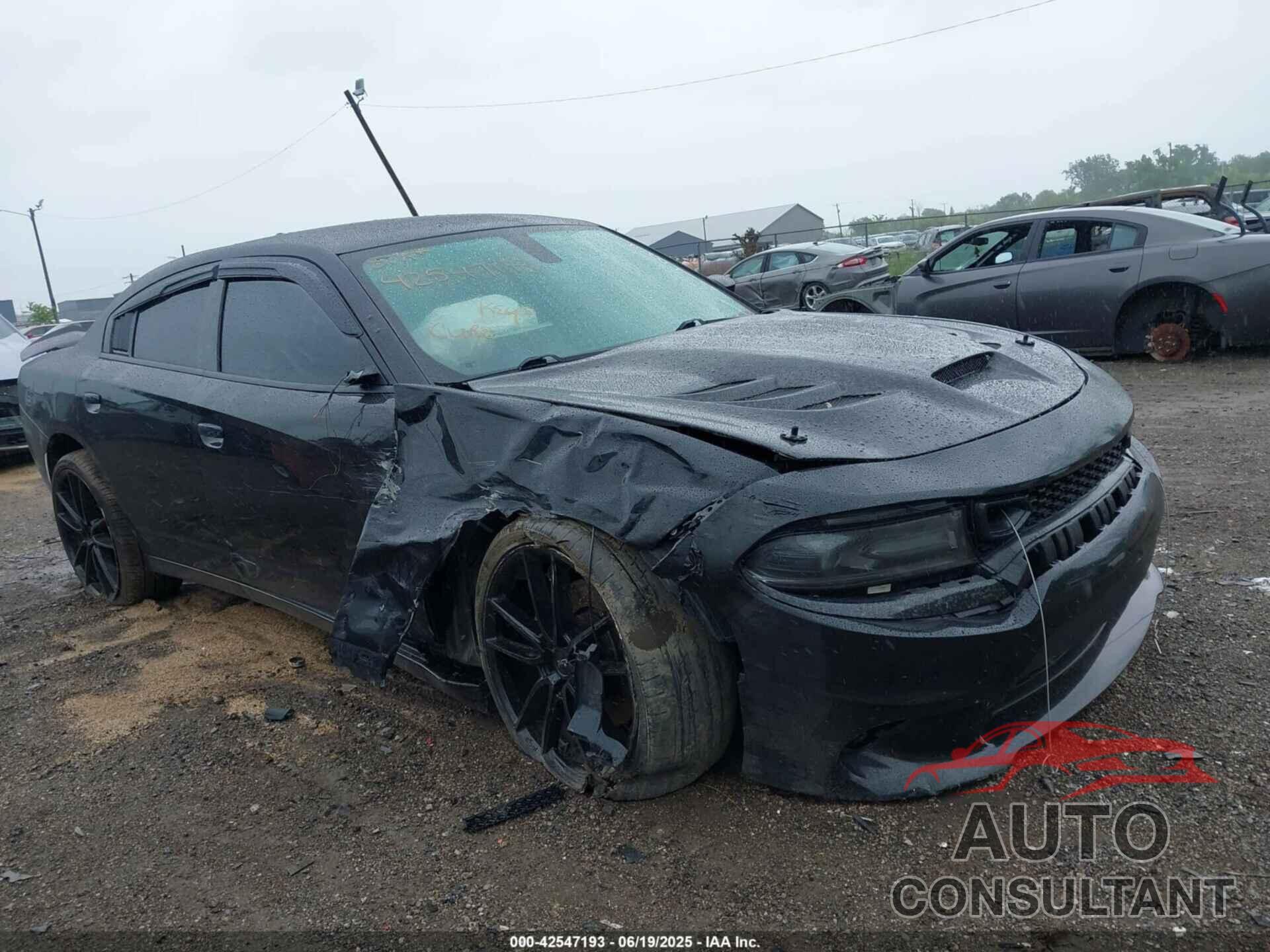 DODGE CHARGER 2019 - 2C3CDXKT8KH547876