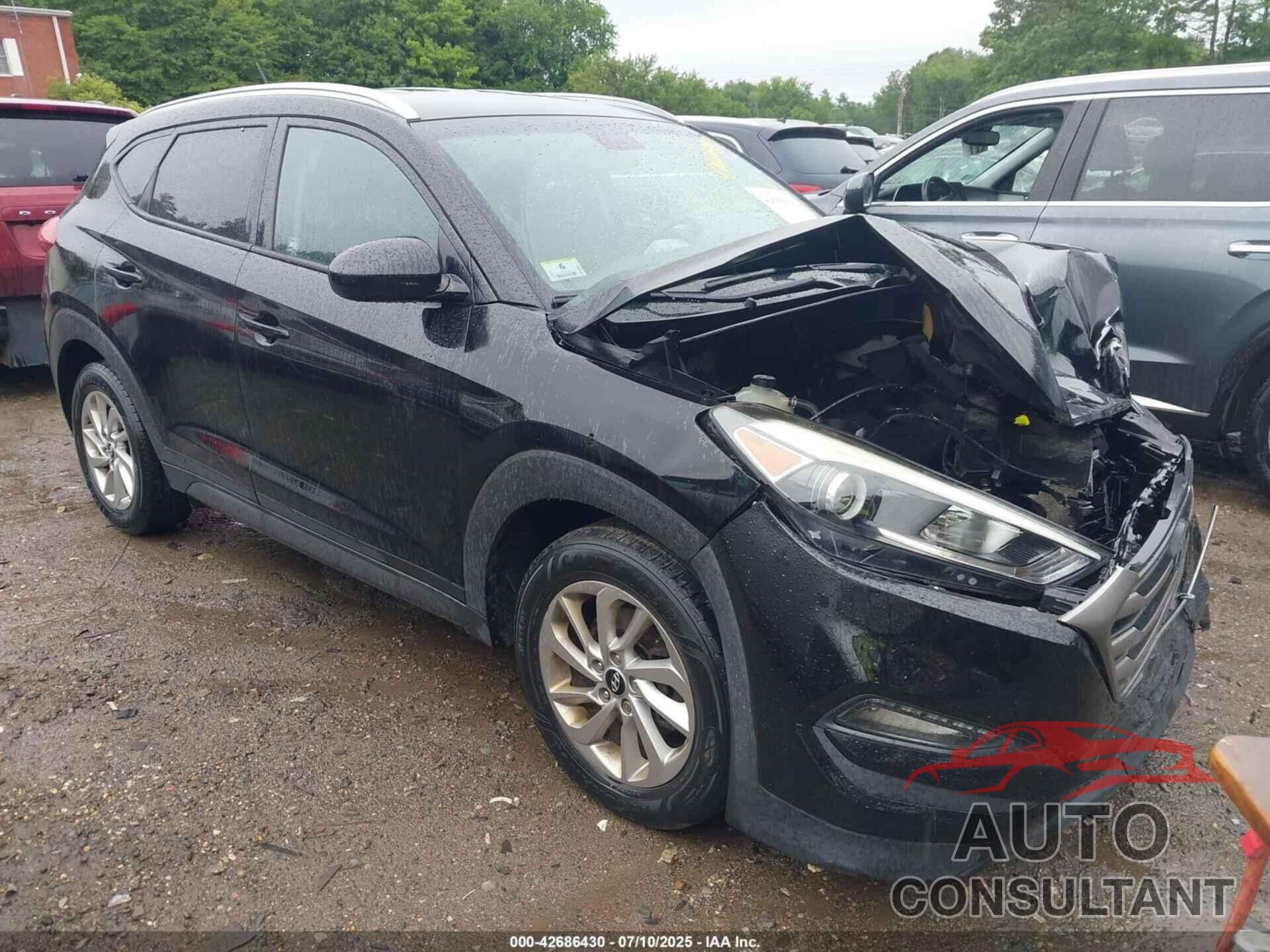 HYUNDAI TUCSON 2016 - KM8J33A46GU058756