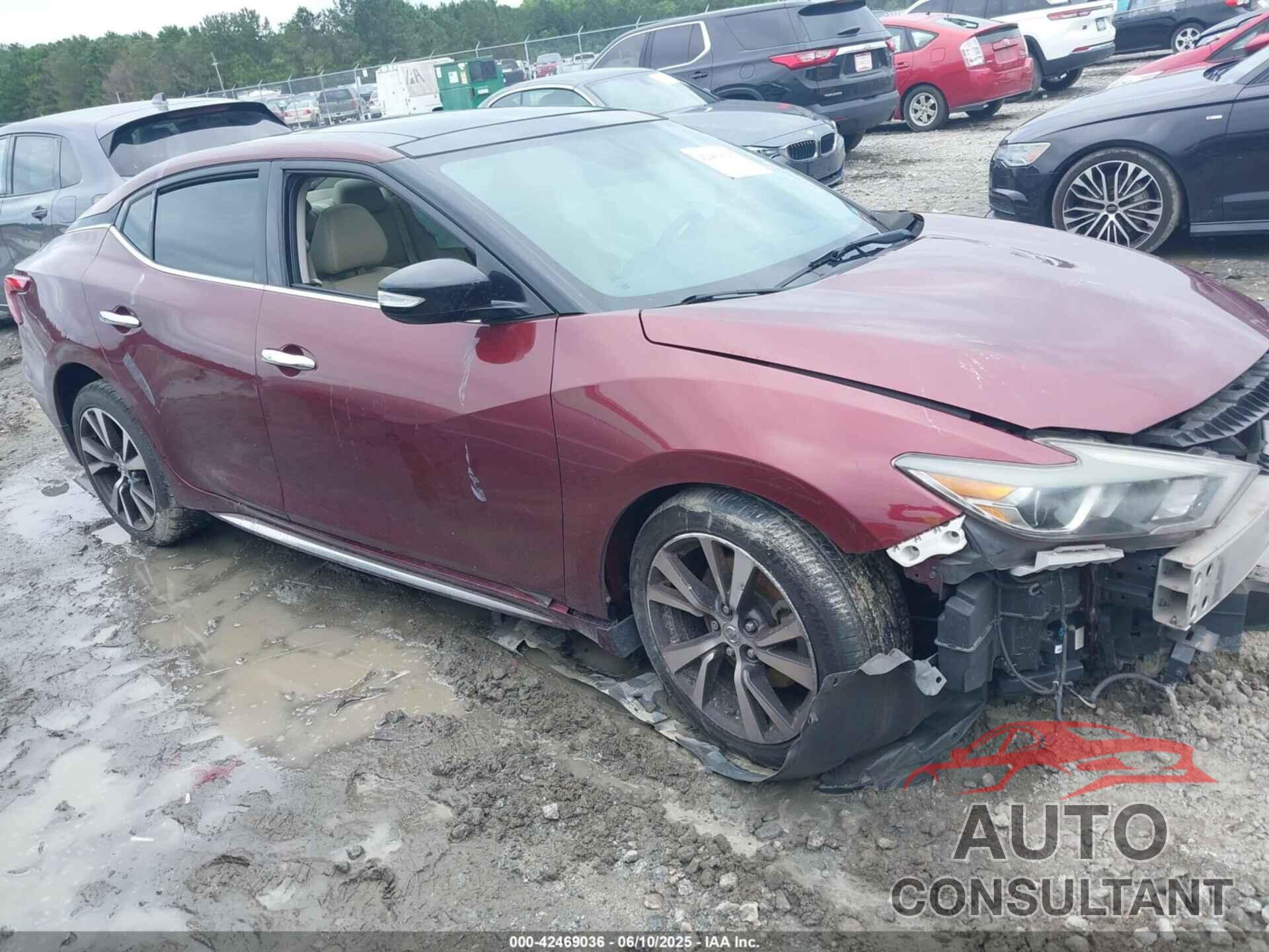 NISSAN MAXIMA 2016 - 1N4AA6AP6GC438679
