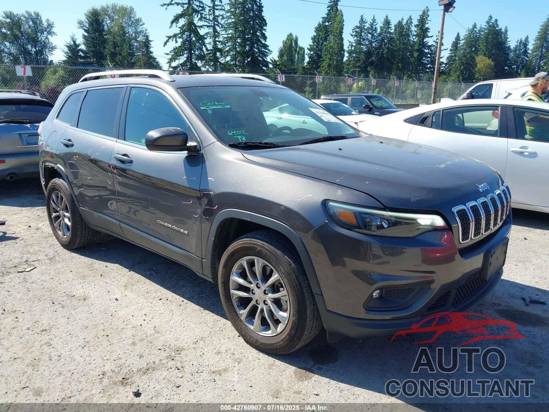 JEEP CHEROKEE 2019 - 1C4PJMLX3KD135495