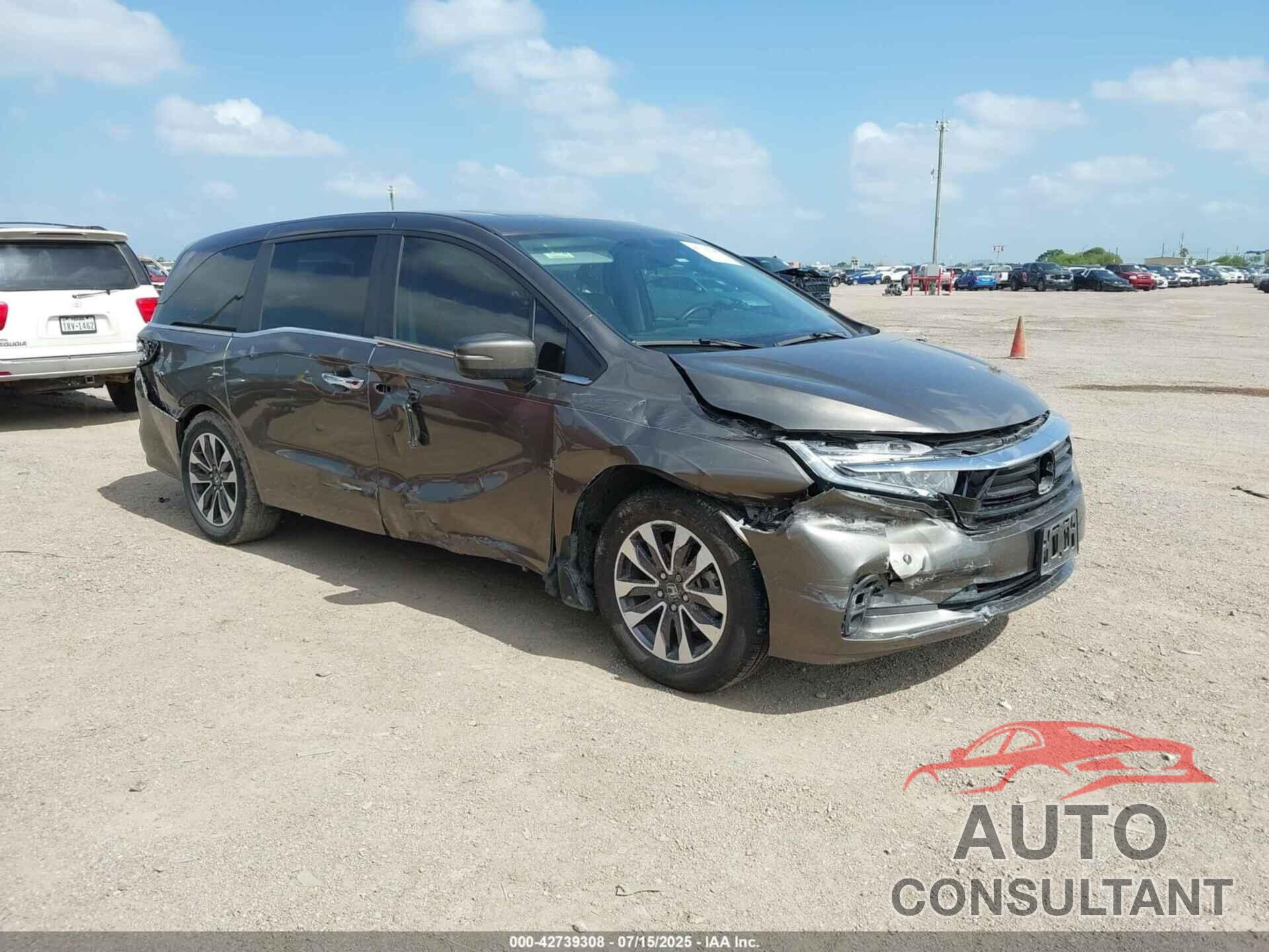 HONDA ODYSSEY 2021 - 5FNRL6H74MB031875