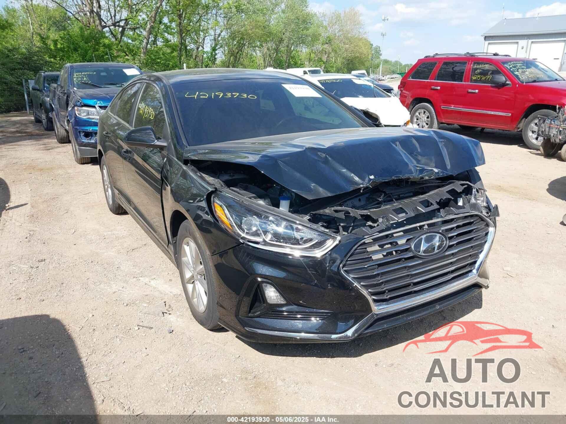 HYUNDAI SONATA 2019 - 5NPE24AFXKH760243