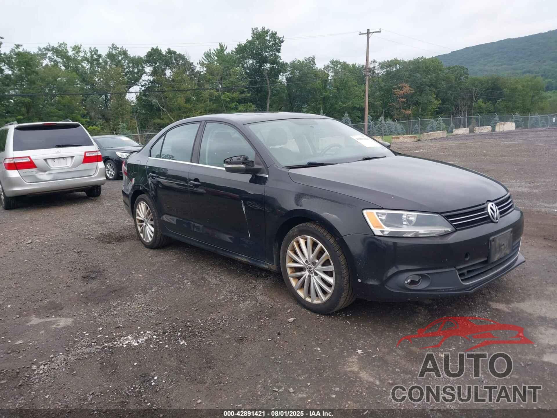 VOLKSWAGEN JETTA 2011 - 3VWLZ7AJ3BM303029