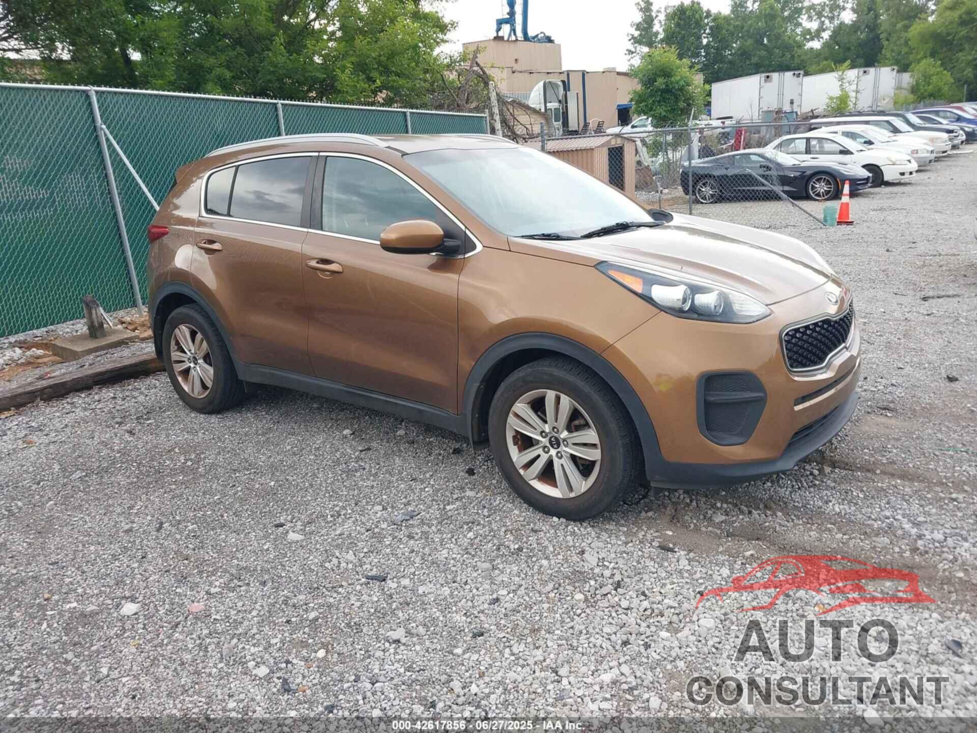 KIA SPORTAGE 2017 - KNDPM3AC7H7229839