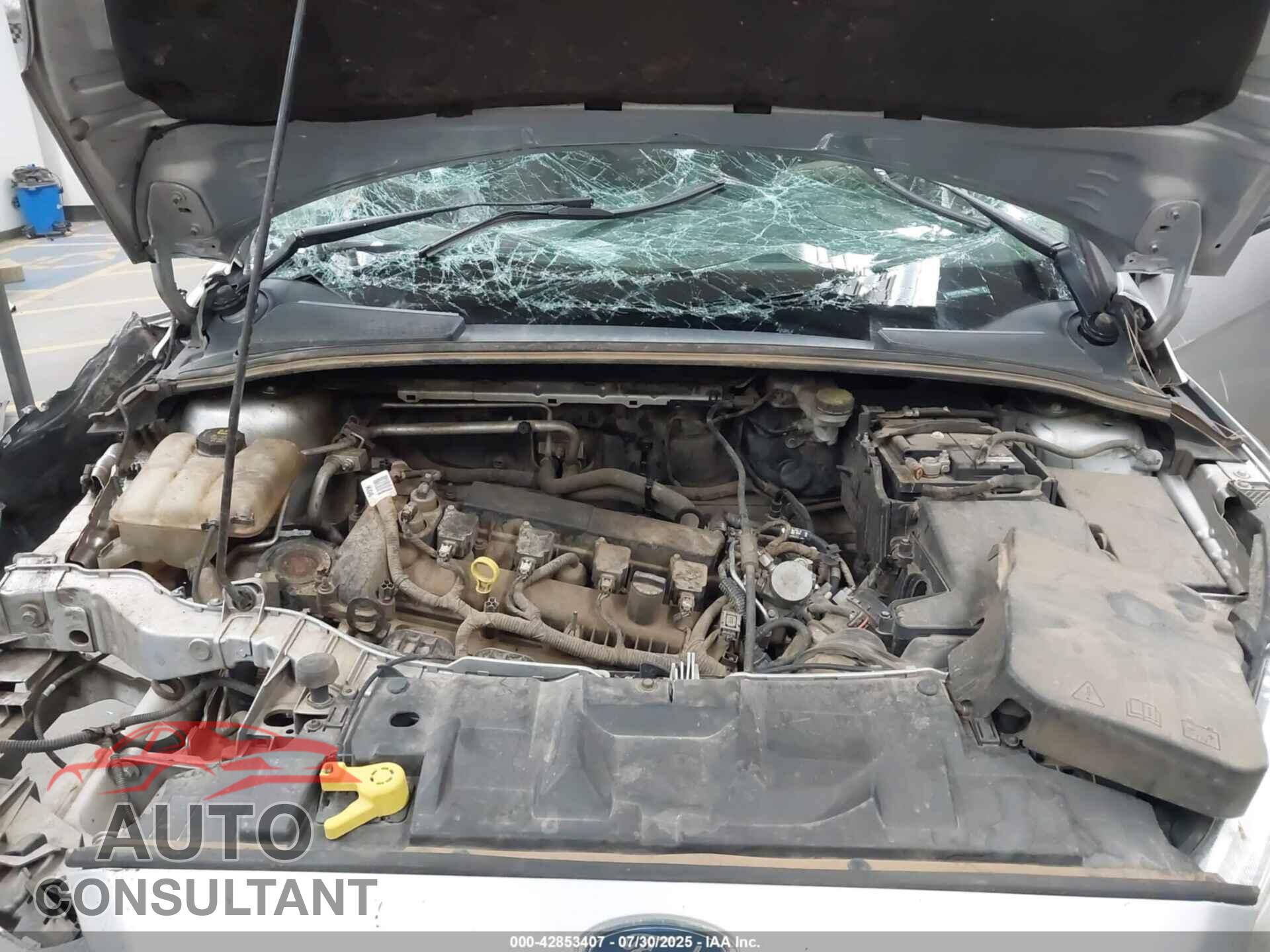 FORD FOCUS 2016 - 1FADP3F28GL392005