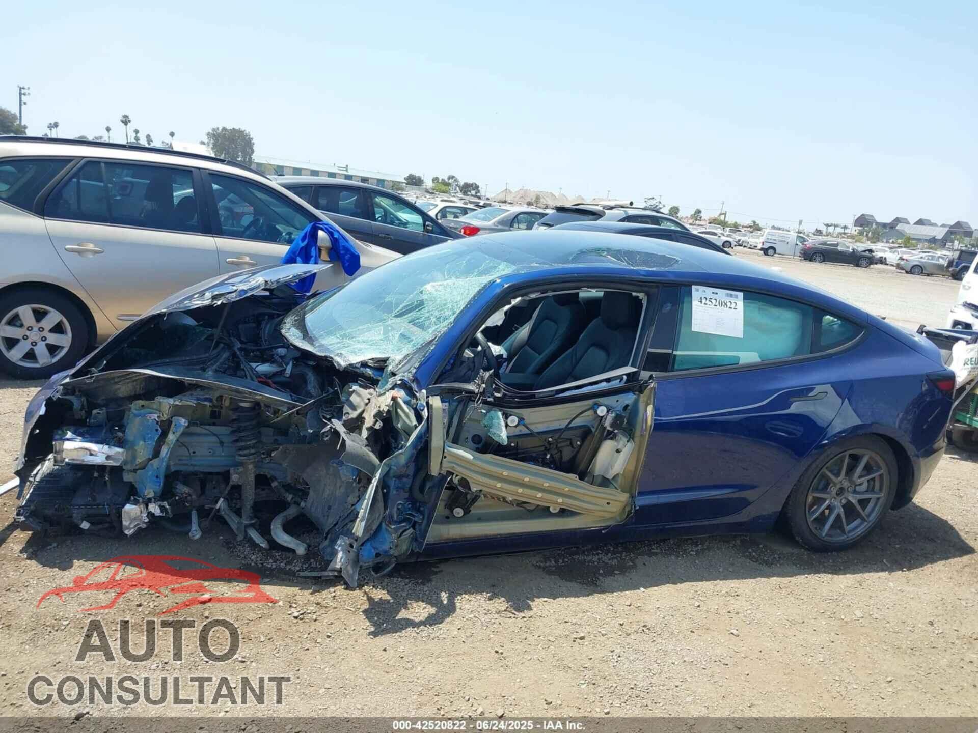 TESLA MODEL 3 2021 - 5YJ3E1EA5MF921496