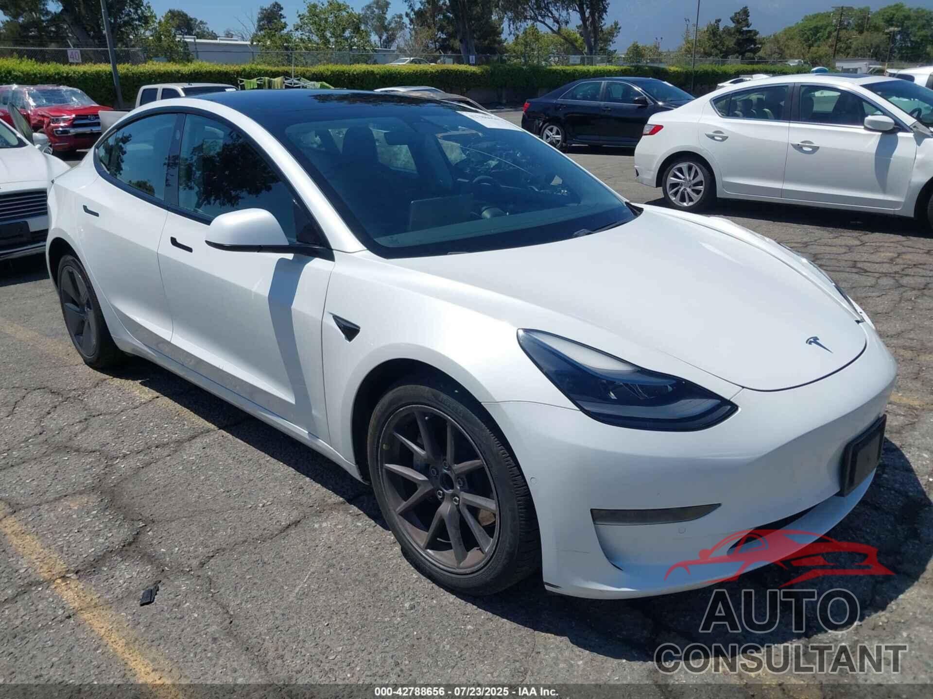 TESLA MODEL 3 2021 - 5YJ3E1EA8MF985547